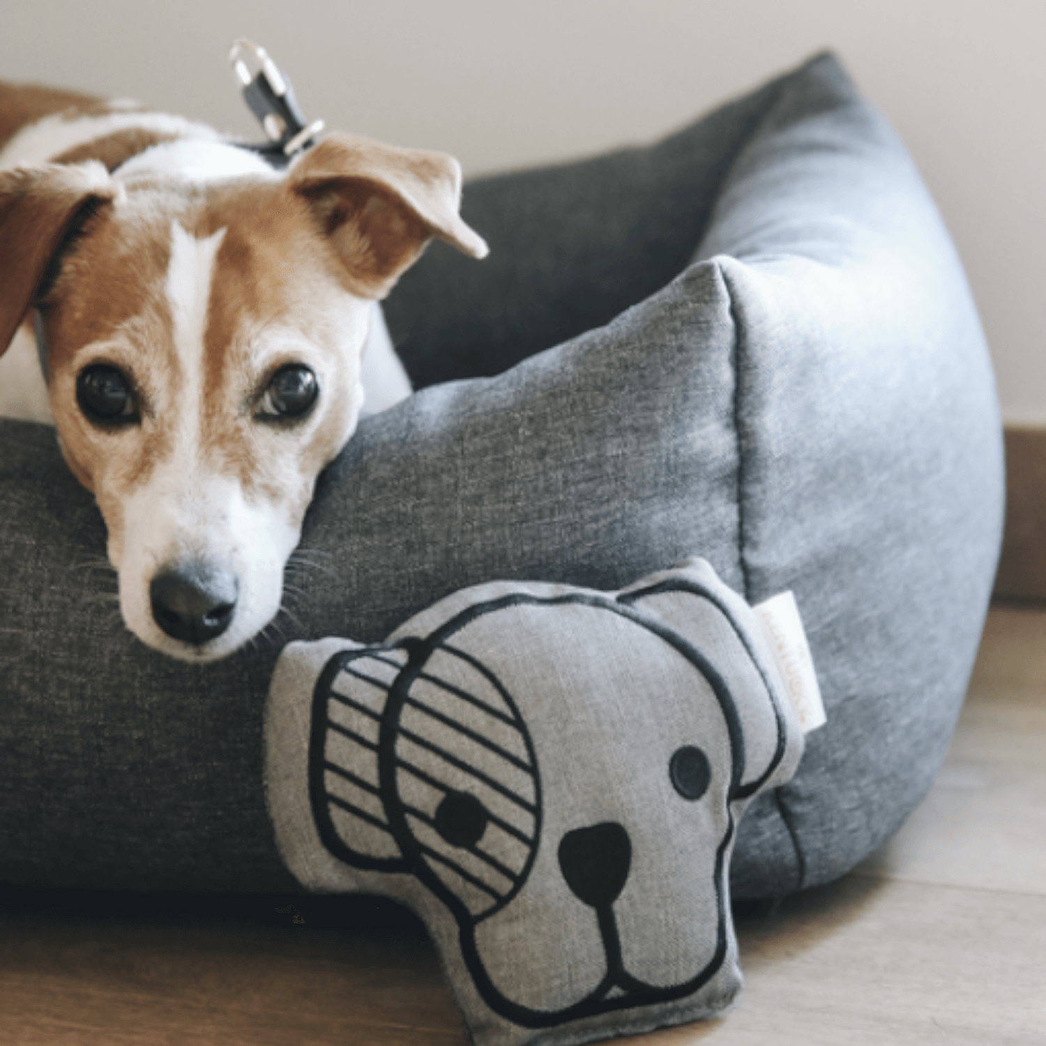 Kentucky Hundespielzeug Dog Head