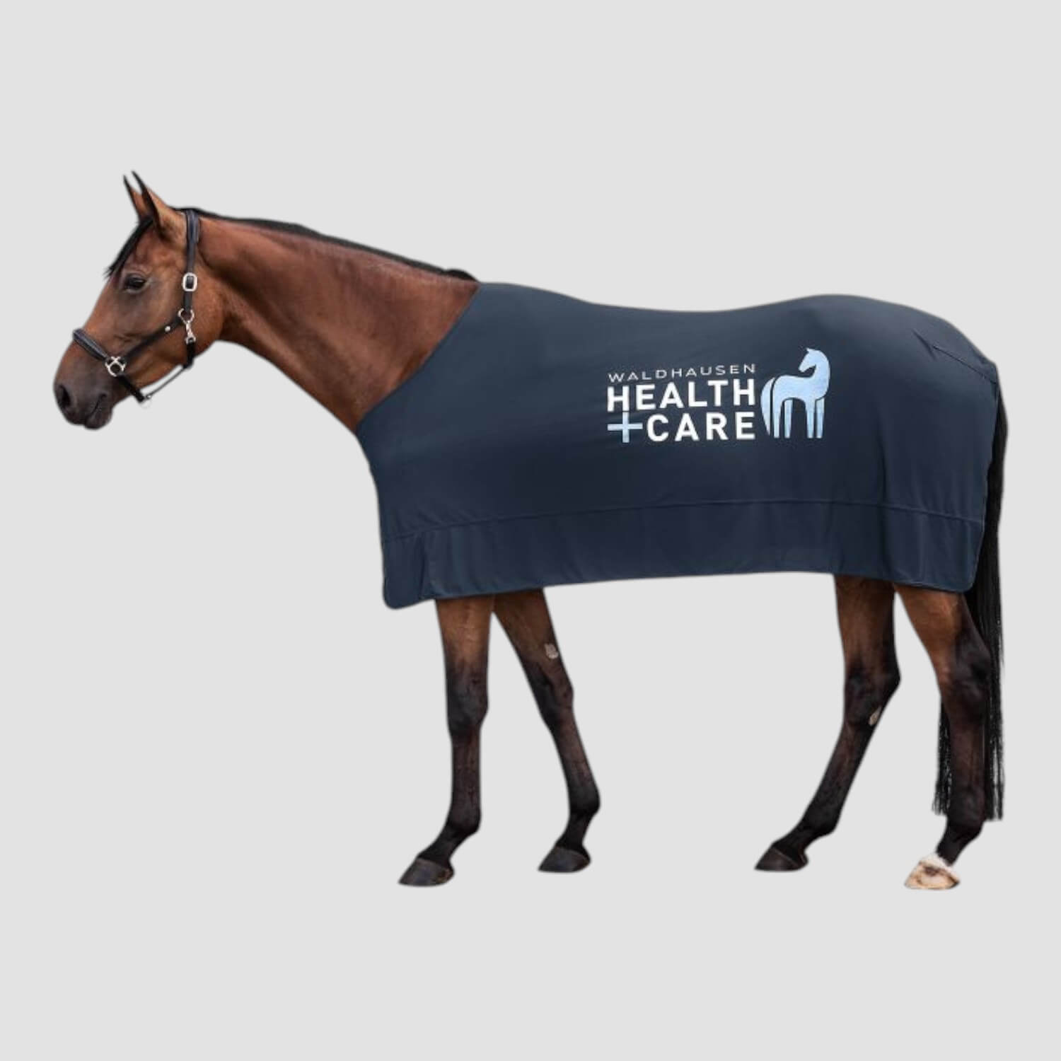 Waldhausen W-Health + Care Ice Layer Decke Nachtblau