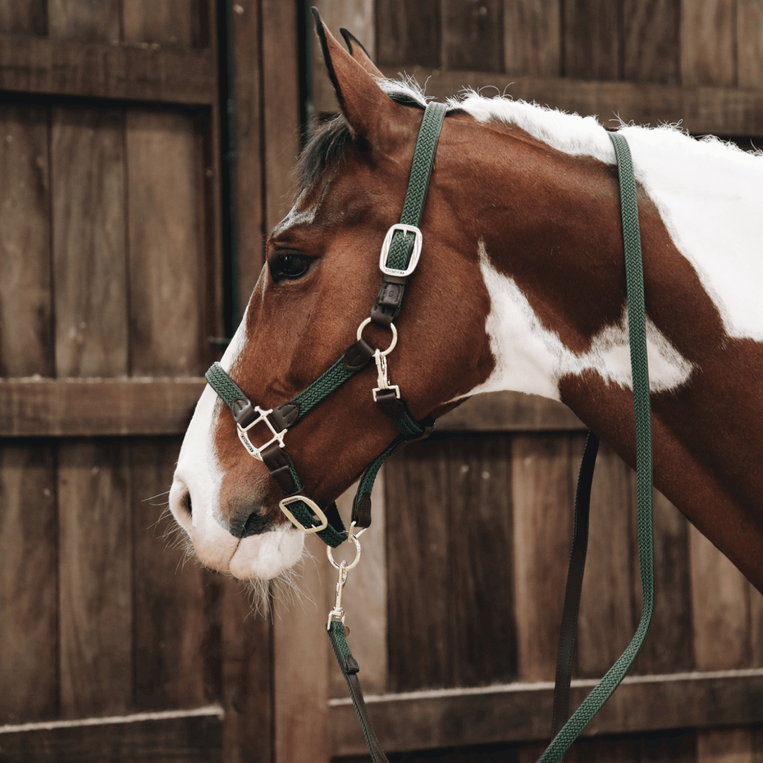 Kentucky Horsewear geflochtenes Nylonhalfter