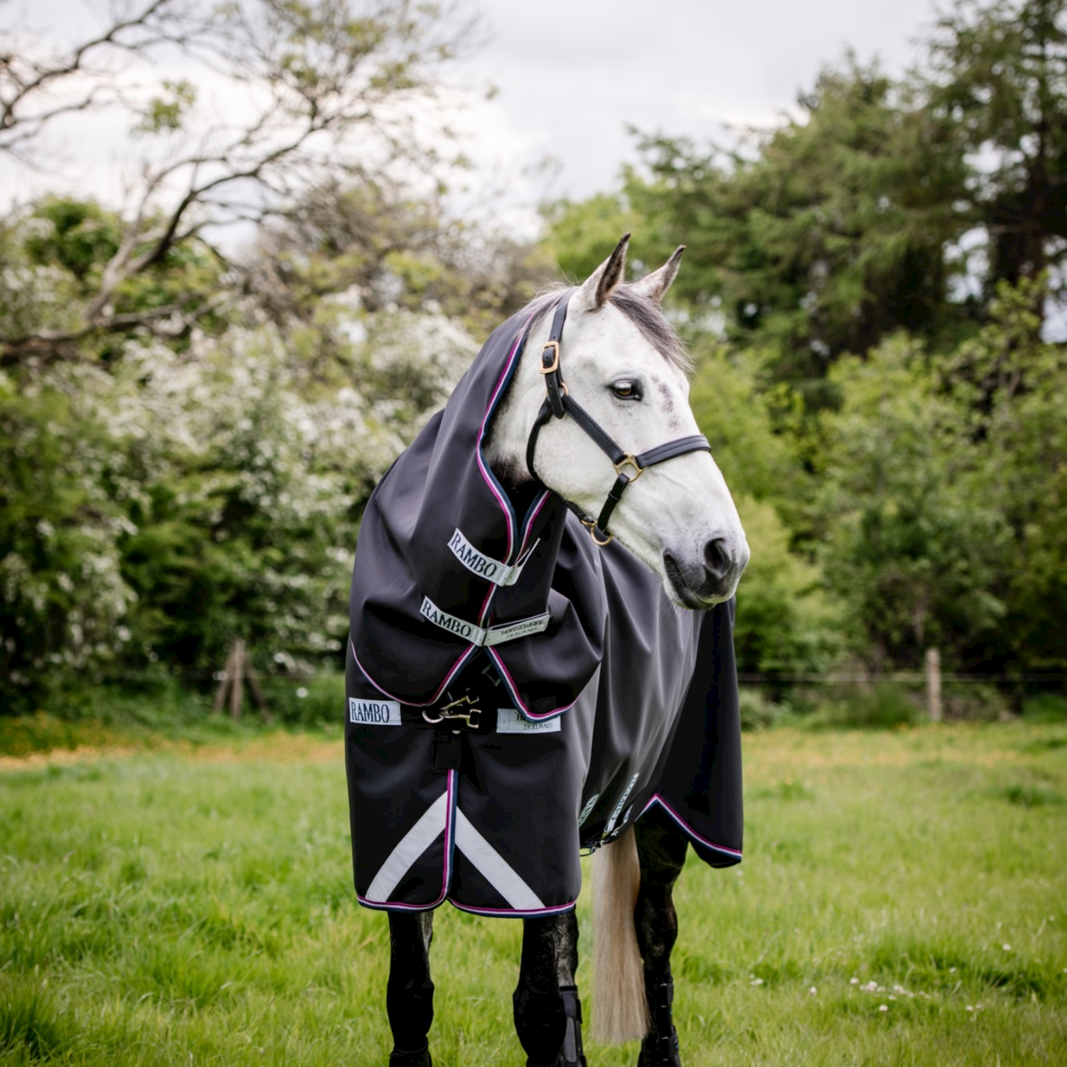 Horseware Rambo Supreme 1680D Turnout with Vari-Layer