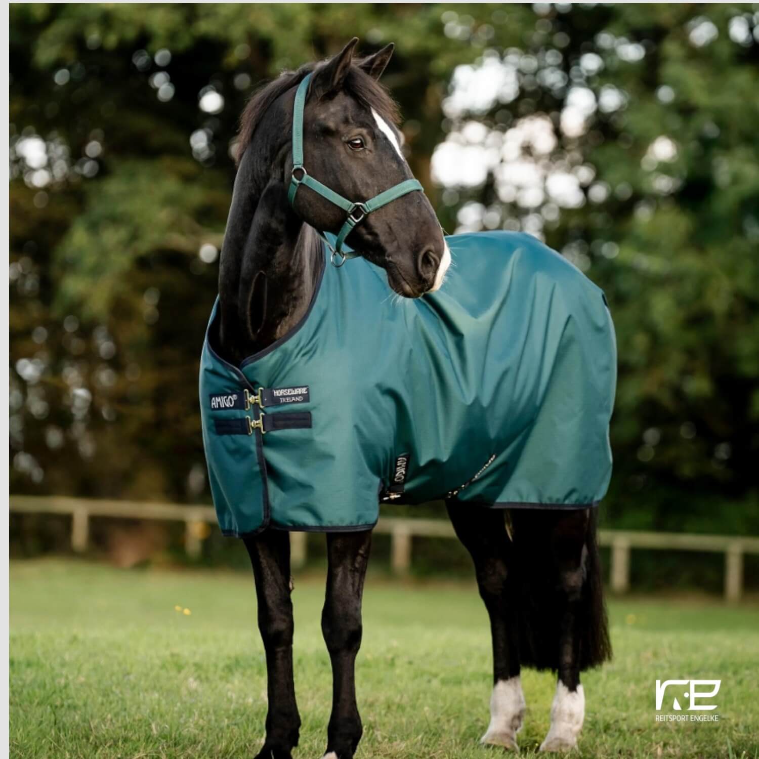 Horseware Amigo Ripstop 900D Turnout 50g Dynasty Green/Navy-Silver