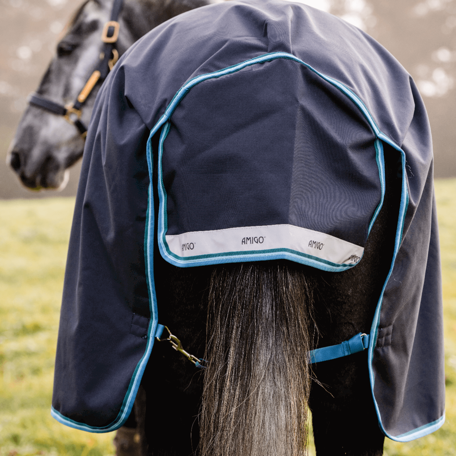 Horseware Amigo Bravo 12 50g Navy/Turquoise