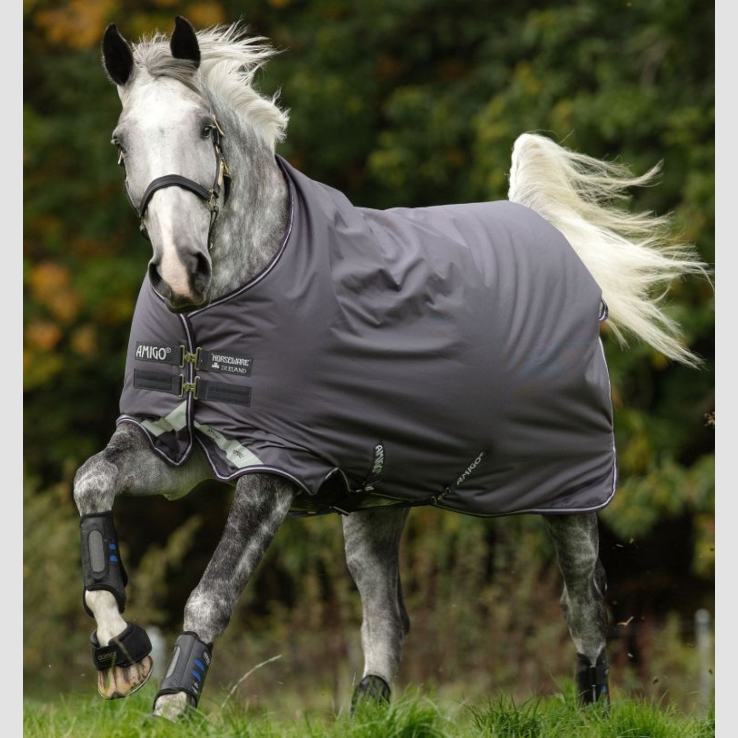 Horseware Regen- Weidedecke Amigo Bravo 12 T/O Lite
