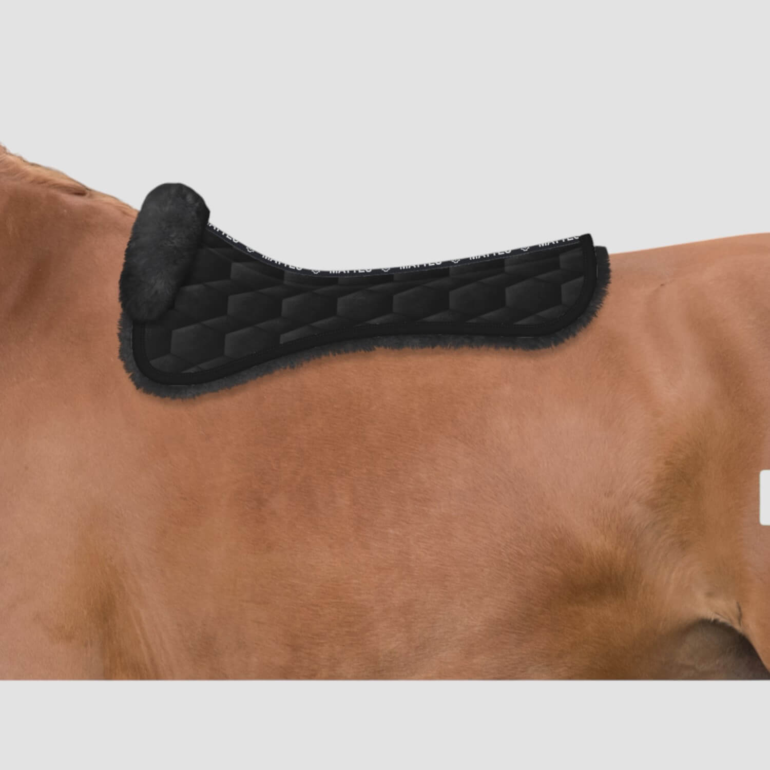 Mattes Sattelkissen Dressur Rand Vorne Samt Schwarz/Graphit