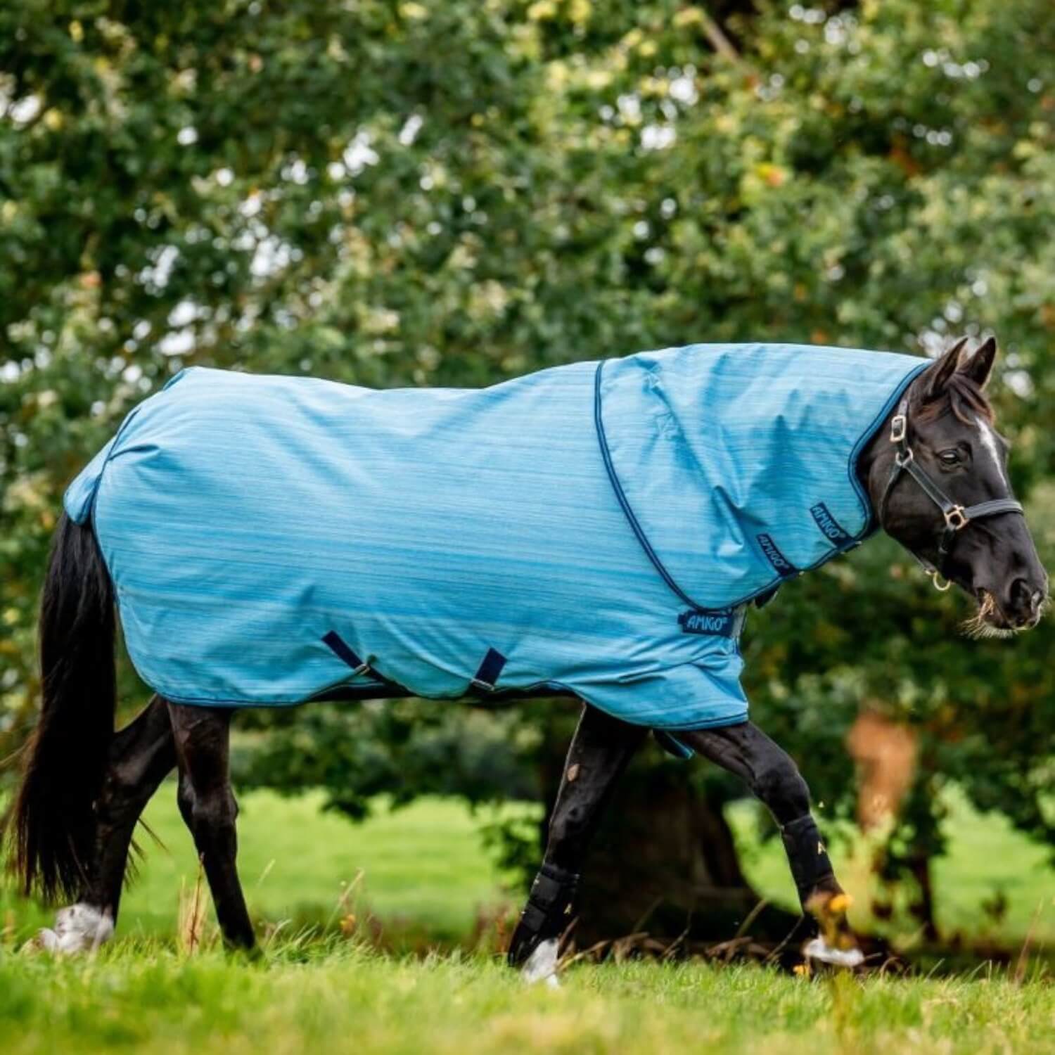 Wasserdichte Decke Horseware Amigo Hero 900 Revive Plus 50 g Wasserdichte Decke Horseware Amigo Hero 900 Revive Plus 50 g