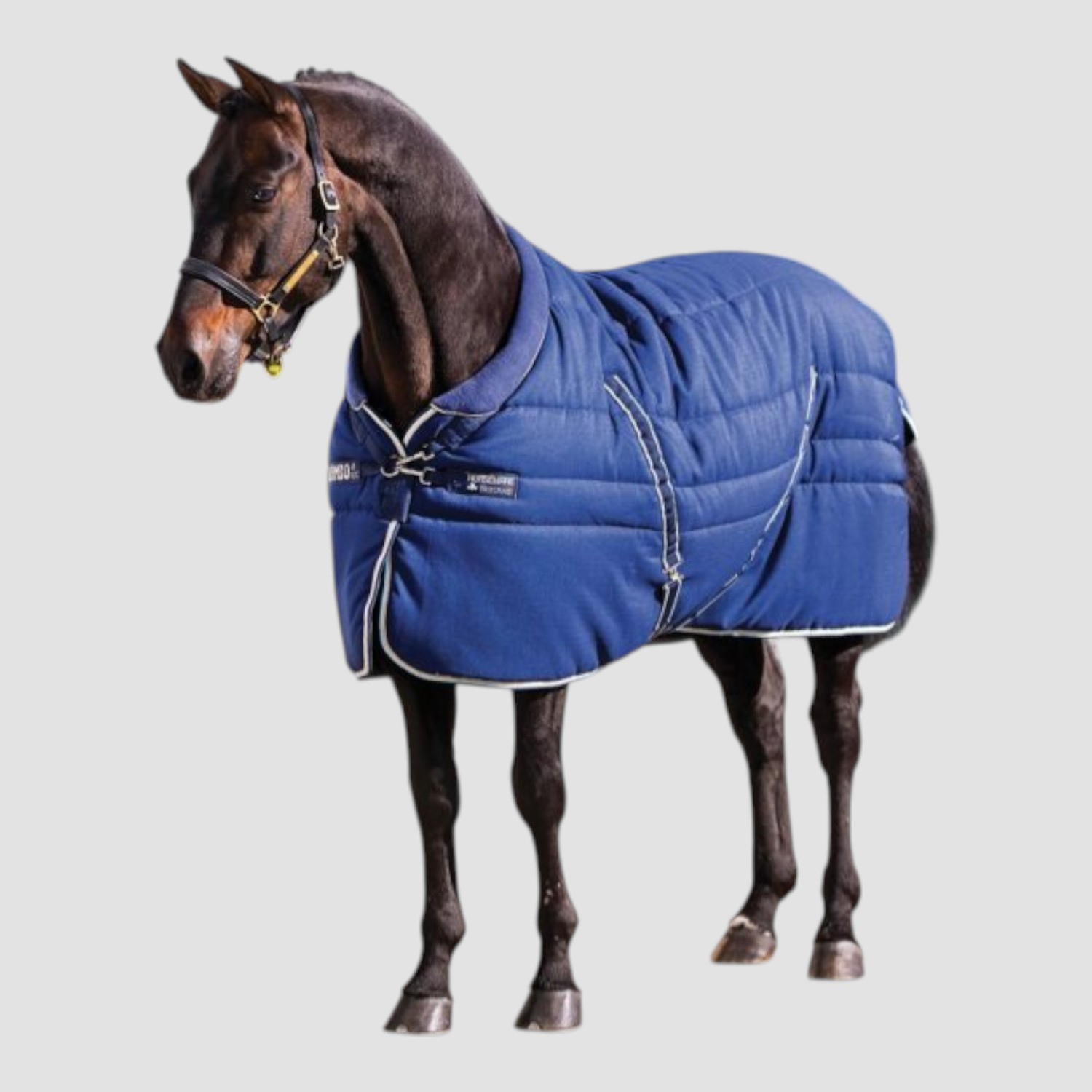 Navy with Beige und Blue