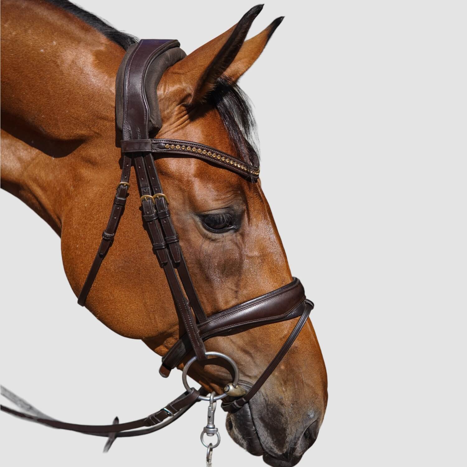 TransHorse® Sport Trensenunterlage Lang Classic