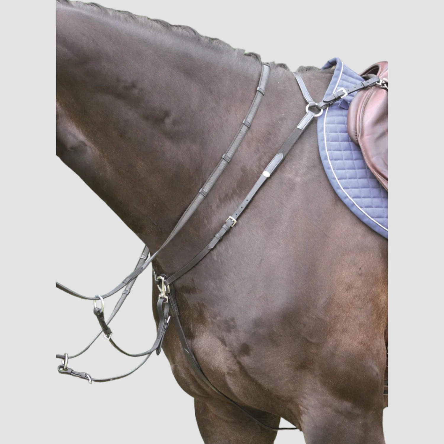 Hans Melzer Vorderzeug Bad Harzburg