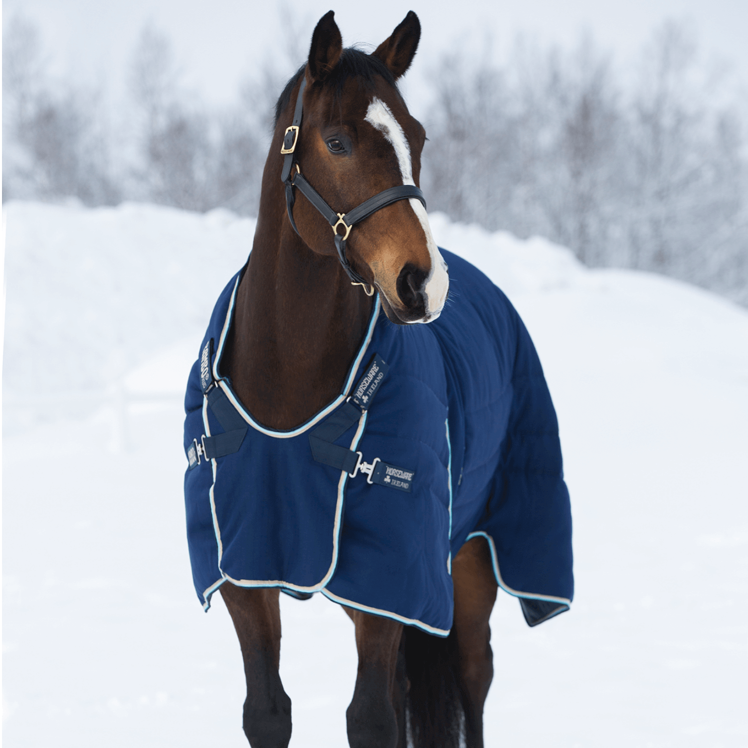 Horseware Rambo Optimo Stable Rug 400g