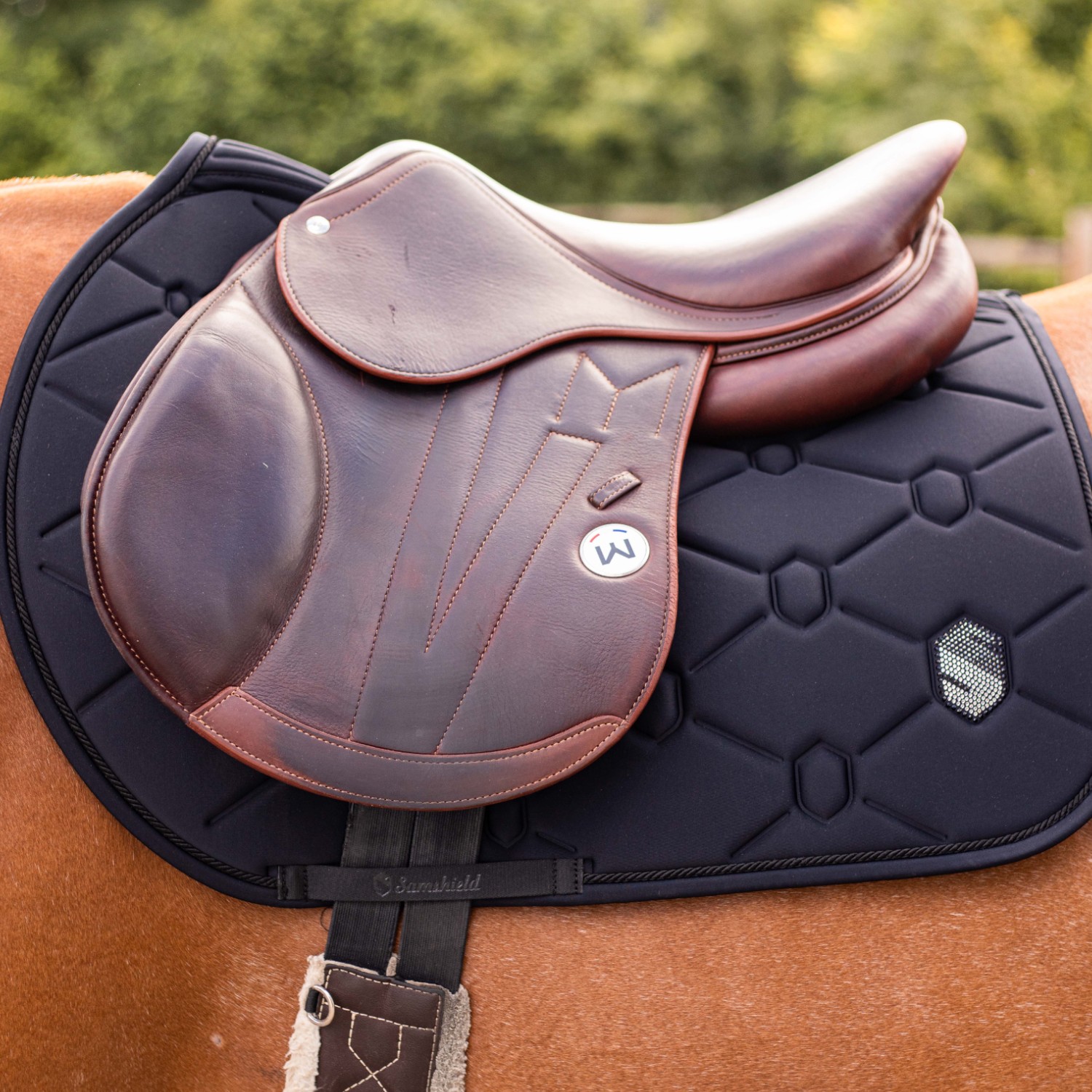 Samshield Schabracke Swarovski