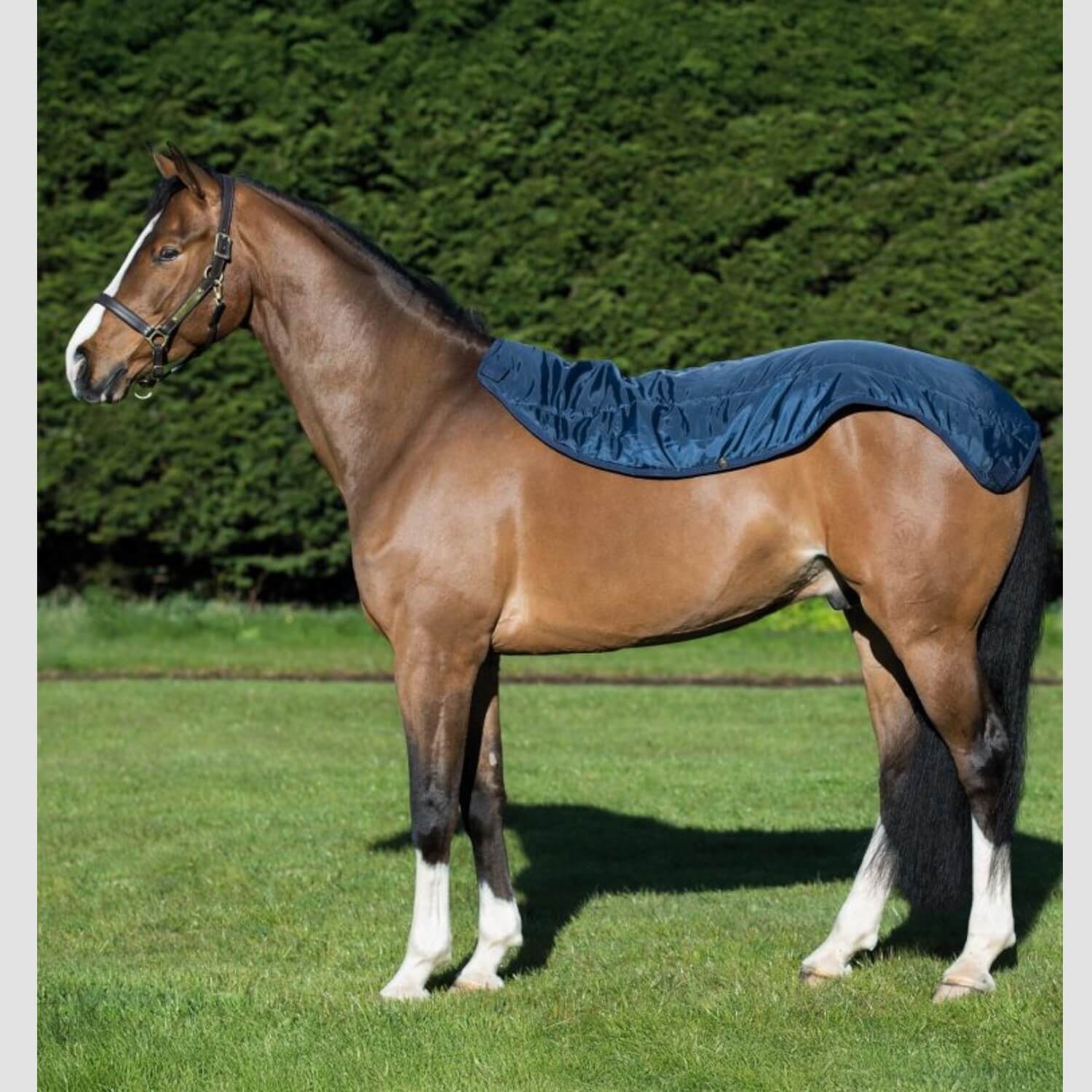 Horseware Rambo Summer Series Turnout 0g Navy/Grey