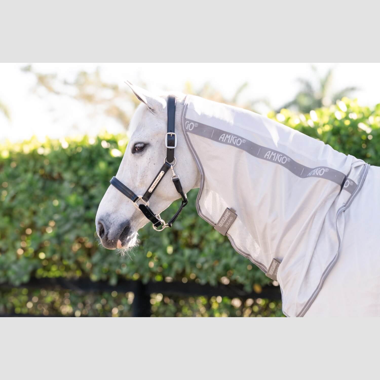 Horseware Amigo Integrated Fly Sheet Silver/Titanium/Grey Horseware Amigo Integrated Fly Sheet Silver/Titanium/Grey