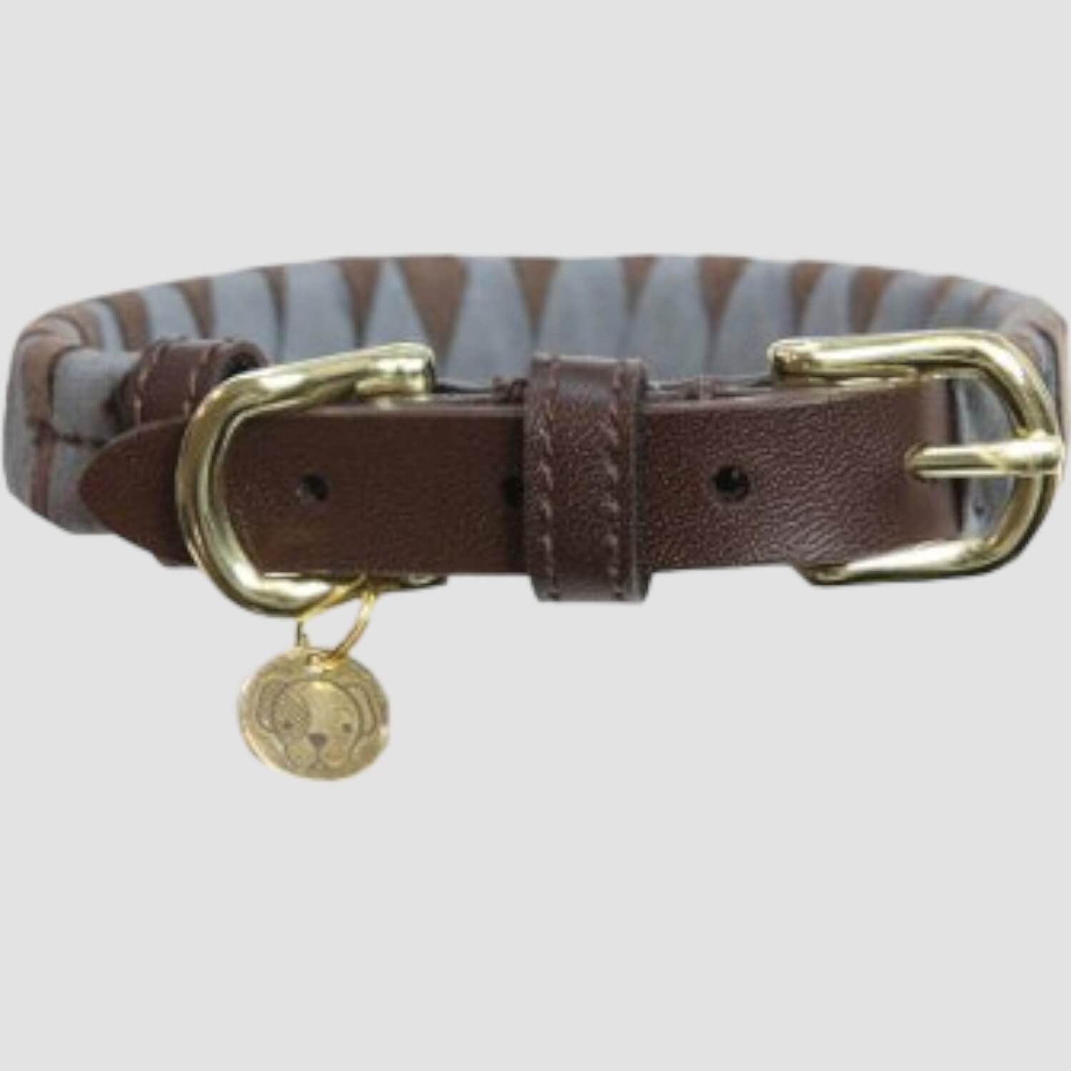 Kentucky Hundehalsband Triangle
