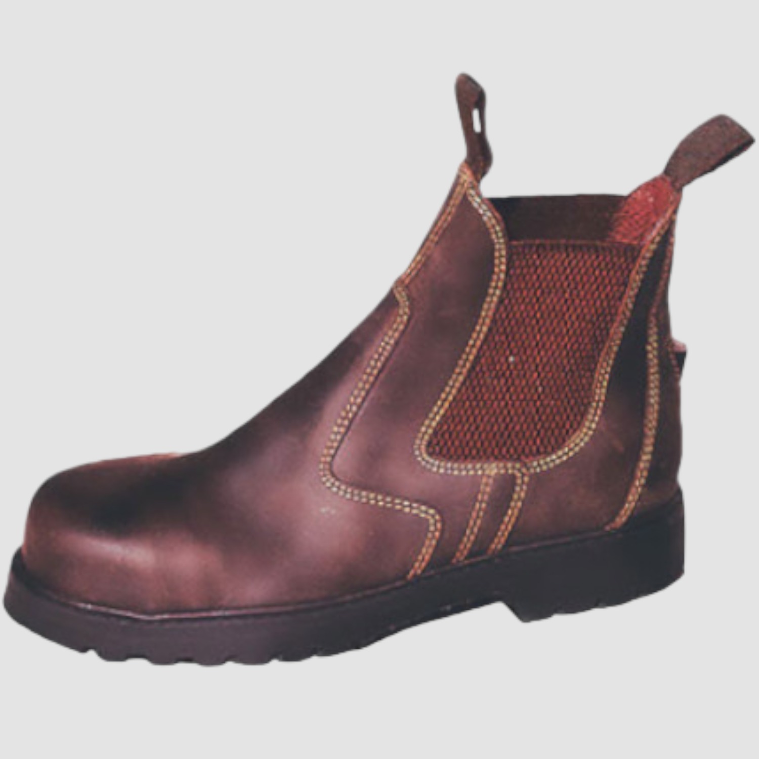 Euroriding Jodhpurstiefelette Konik mit Stahlkappe