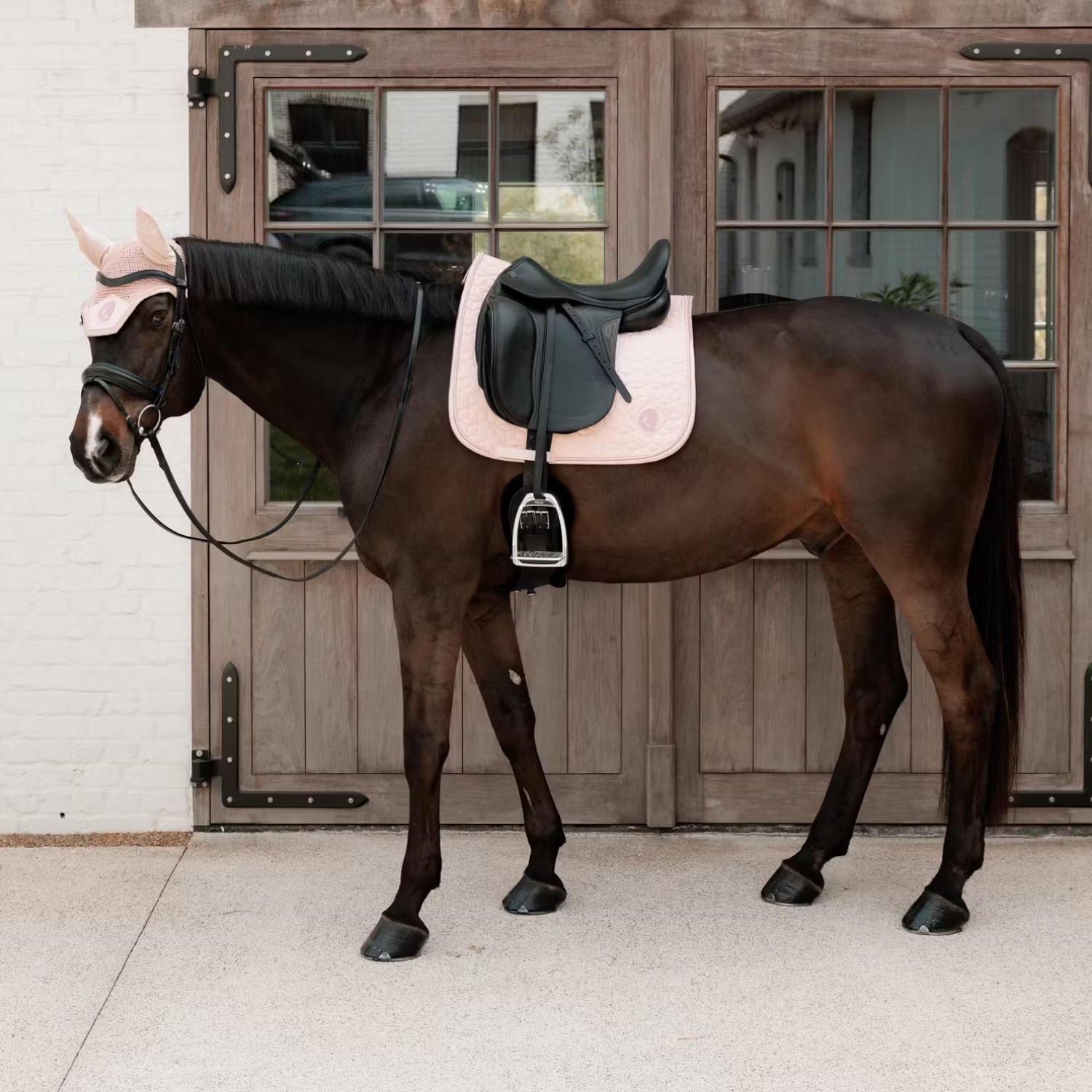 Kentucky Horsewear Schabracke Sparkling