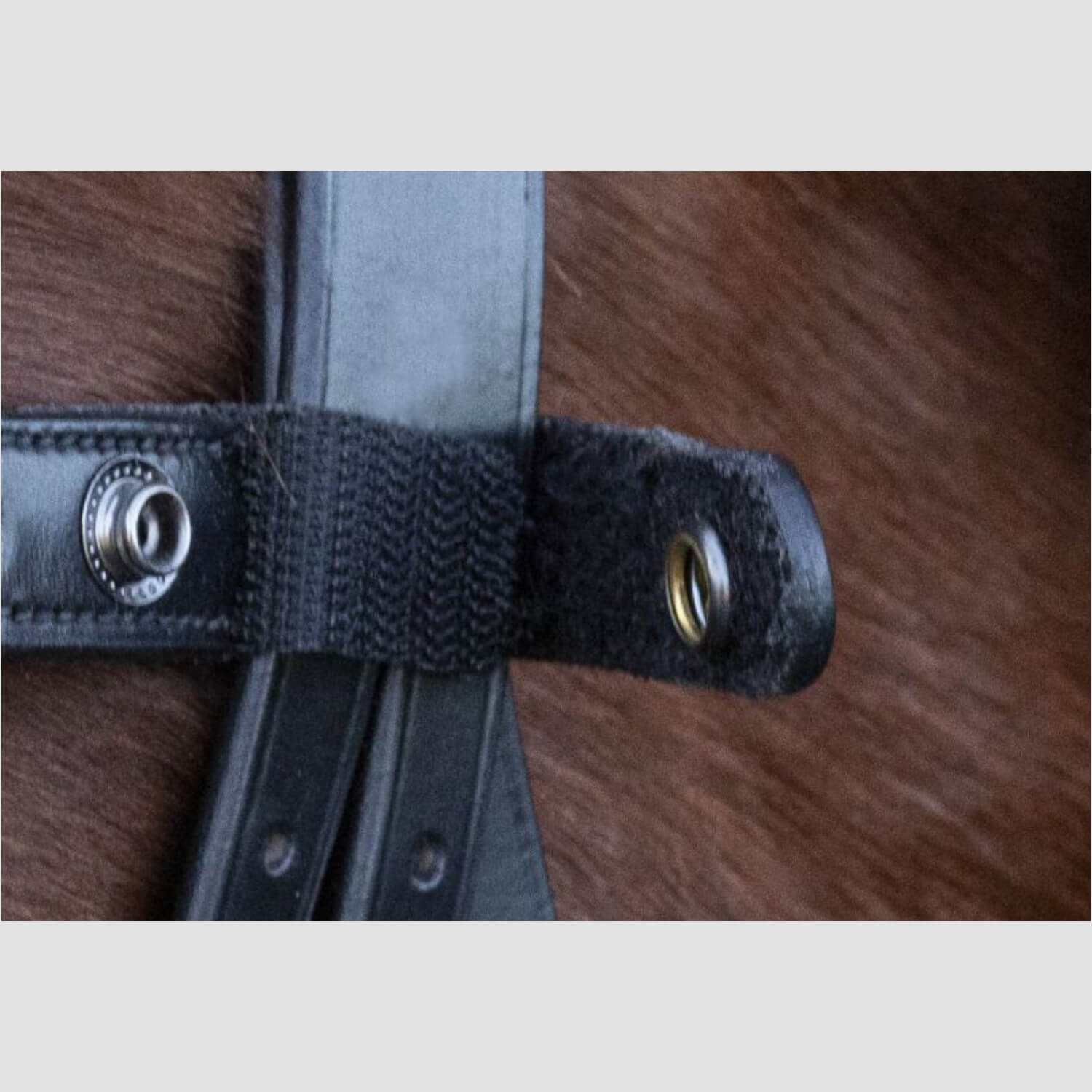 Schockemöhle Sports Trense SP Siena Black/Silver
