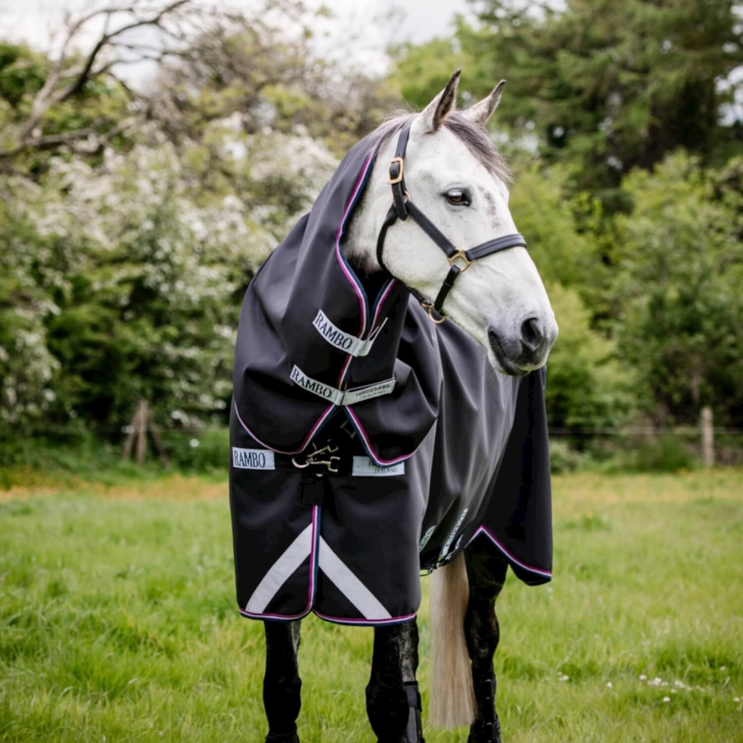 Horseware Rambo Supreme 1680D Turnout with Vari-Layer
