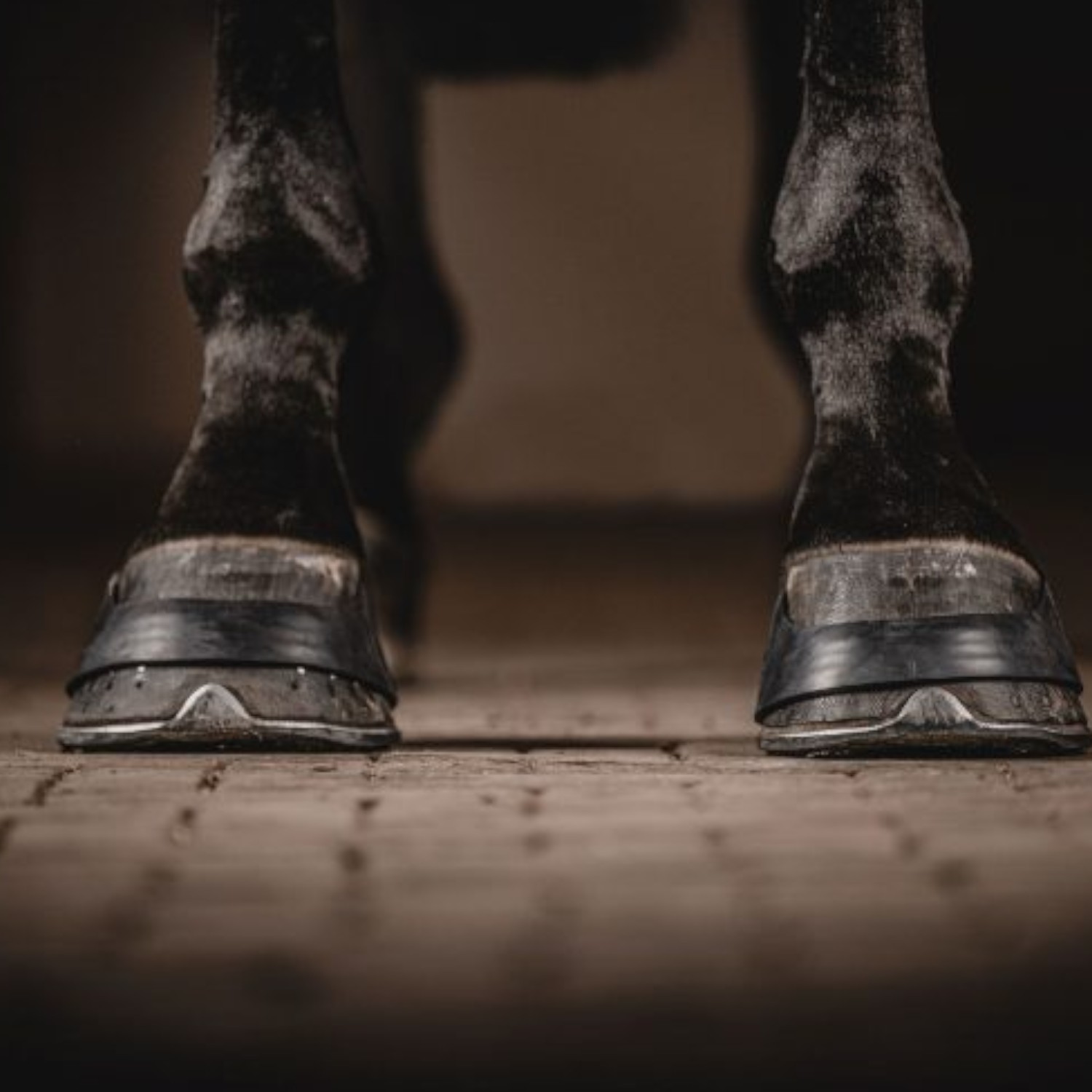 Trust One Equestrian Hoofbands Rubber