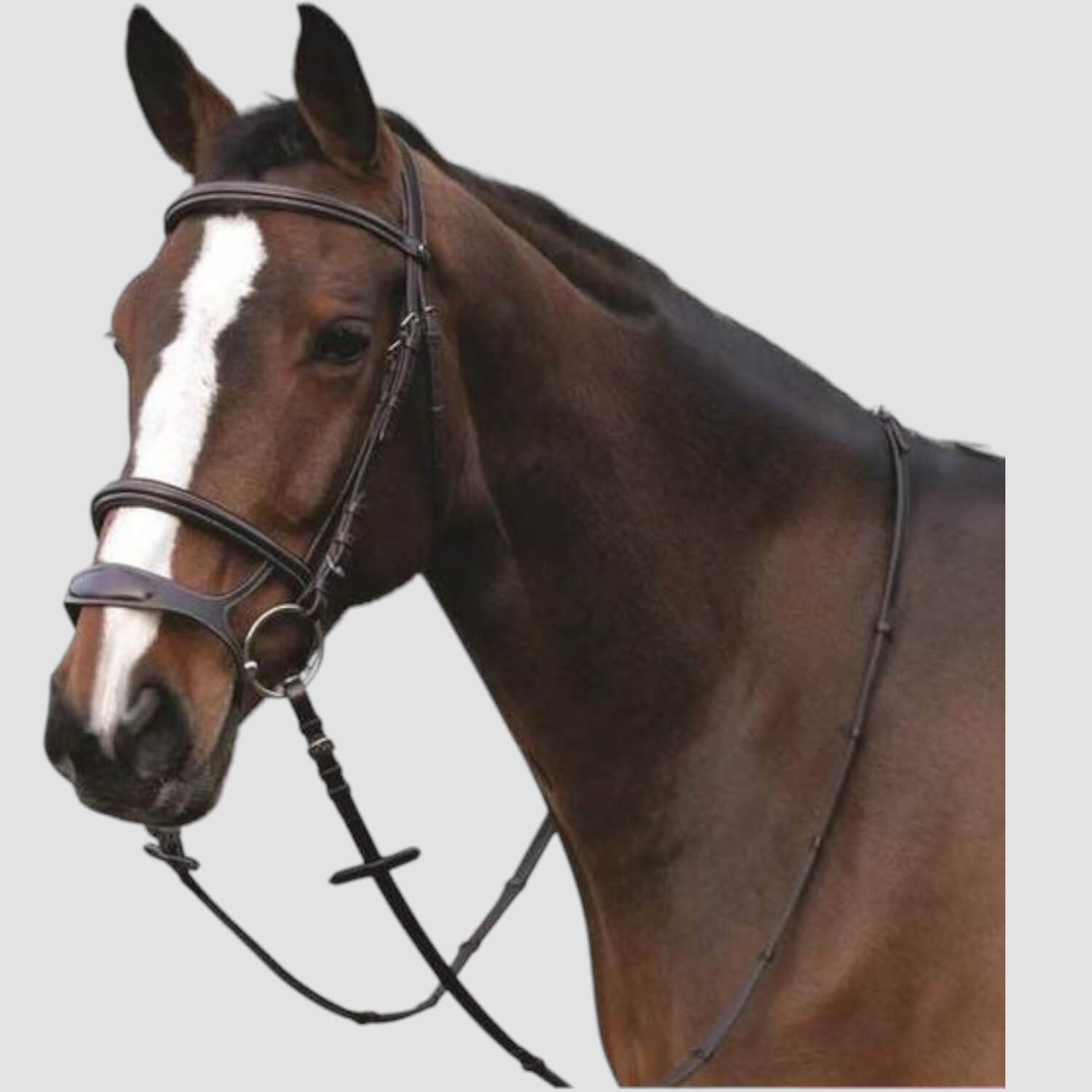 HorseGuard Trense Ergo mit Spezial Reithalfter Choco