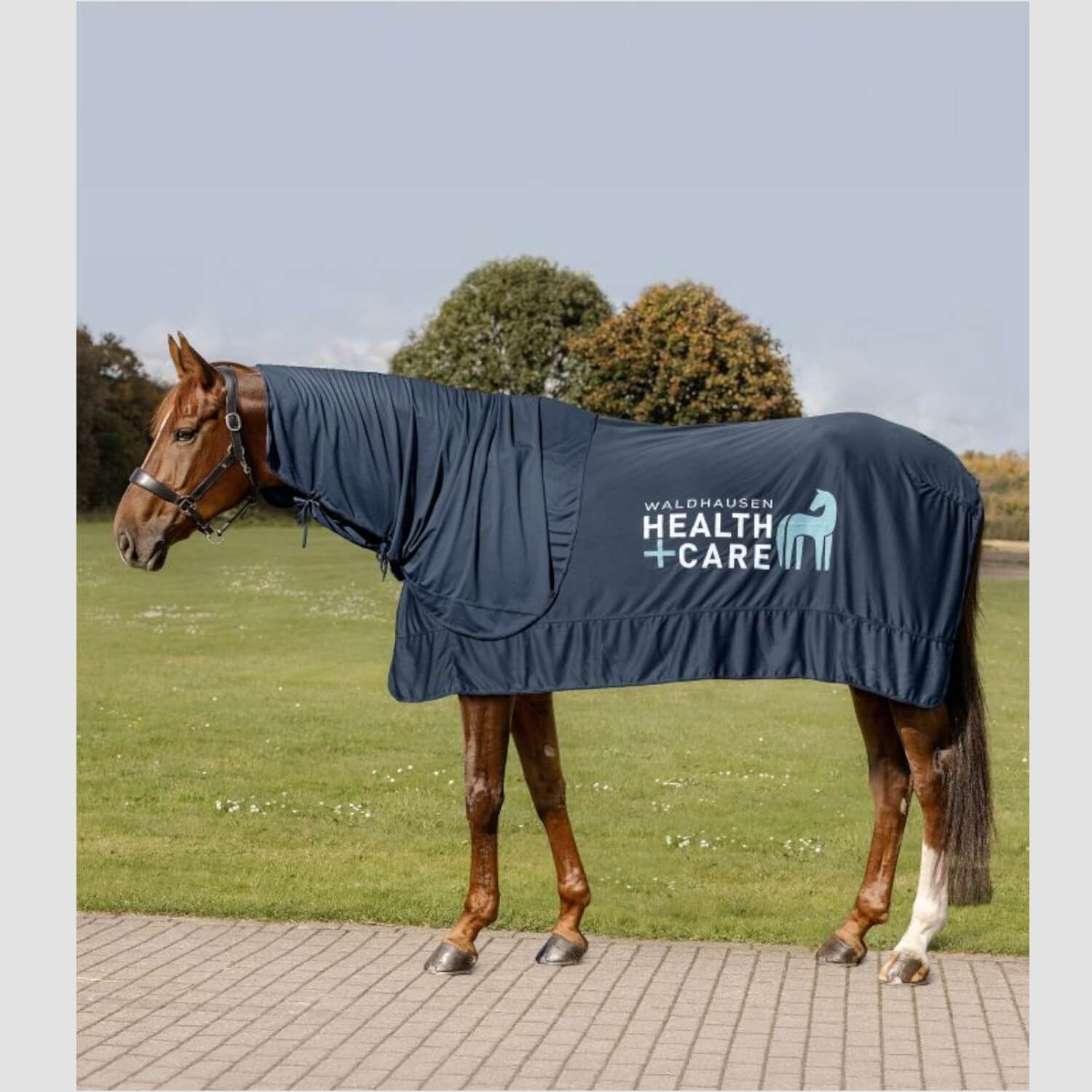 Waldhausen Health & Care Ice Layer Halsteil Nachtblau