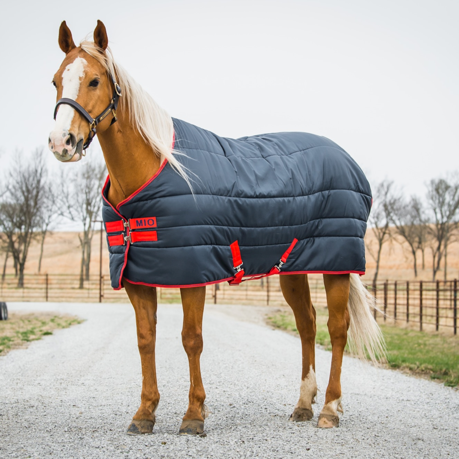 Horseware Mio Insulator Stalldecke navy/rot