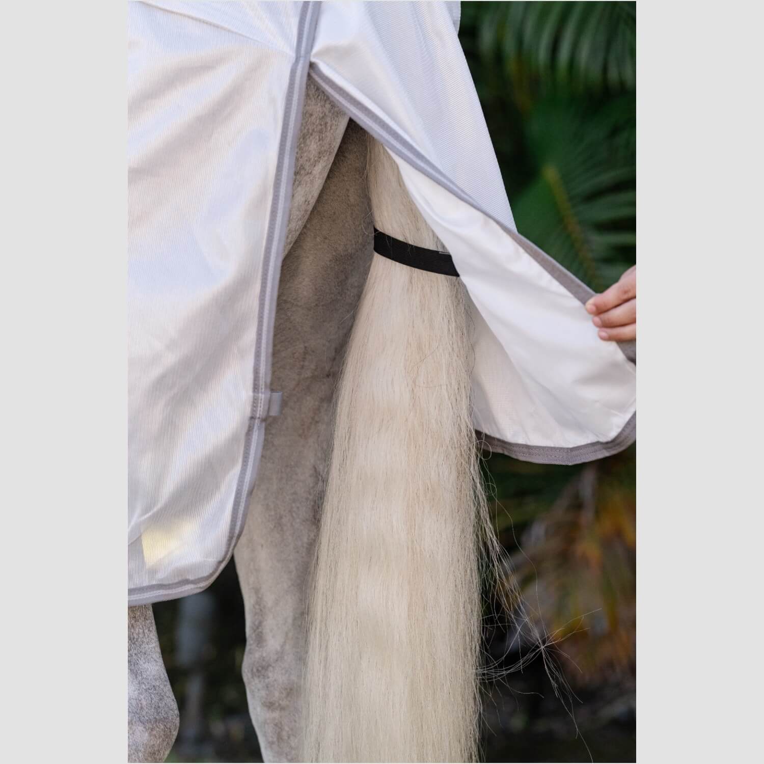 Horseware Amigo Integrated Fly Sheet Silver/Titanium/Grey Horseware Amigo Integrated Fly Sheet Silver/Titanium/Grey