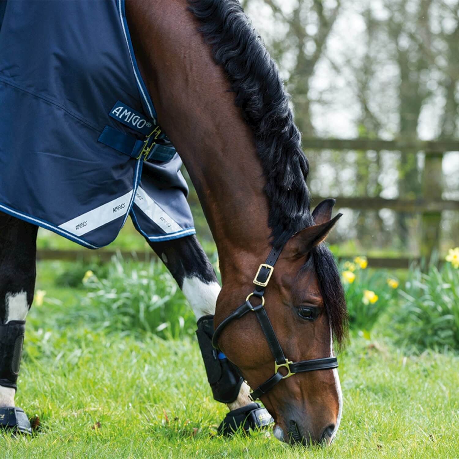 Horseware Regen- Weidedecke Amigo Bravo 12 T/O Lite