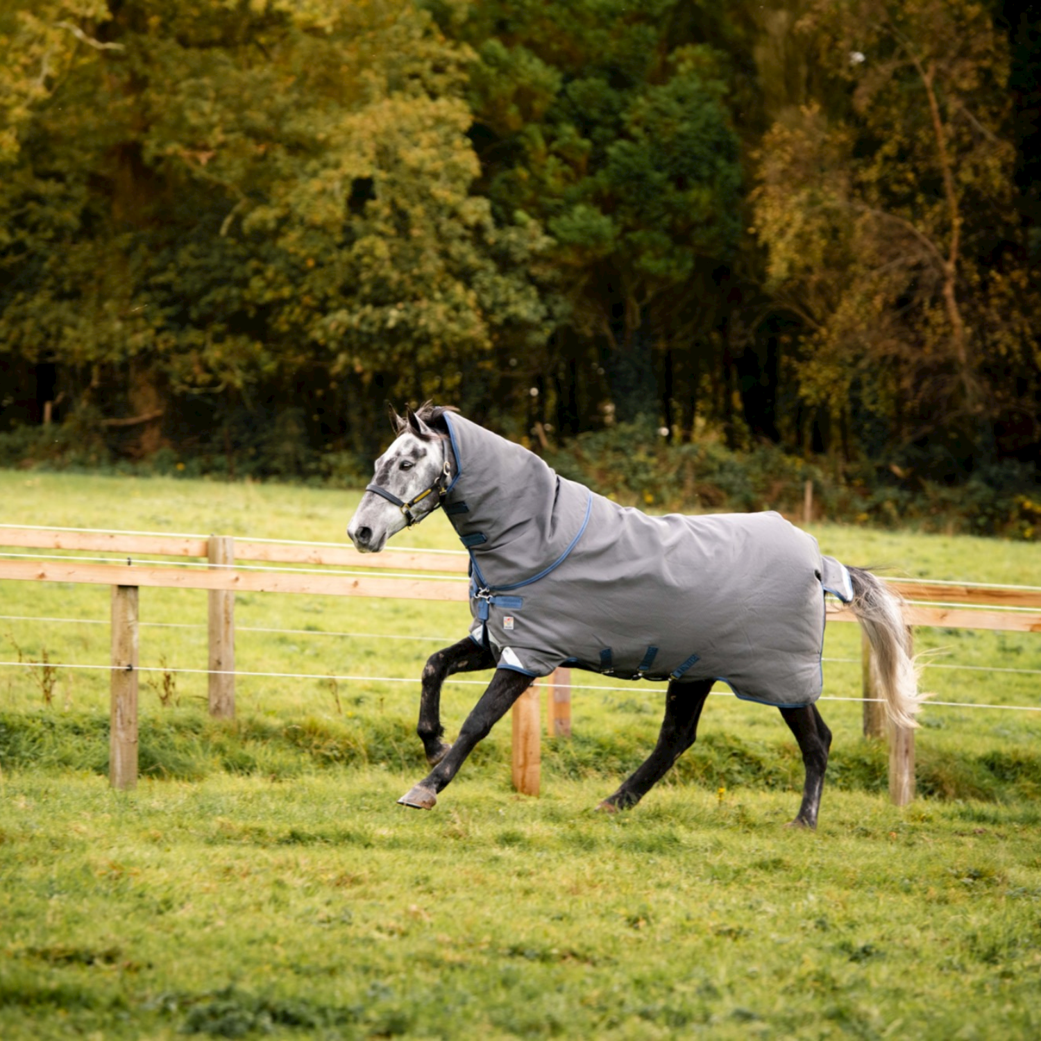 Horseware Rhino® Plus Hexstop Turnout with Vari-Layer (250g Medium)