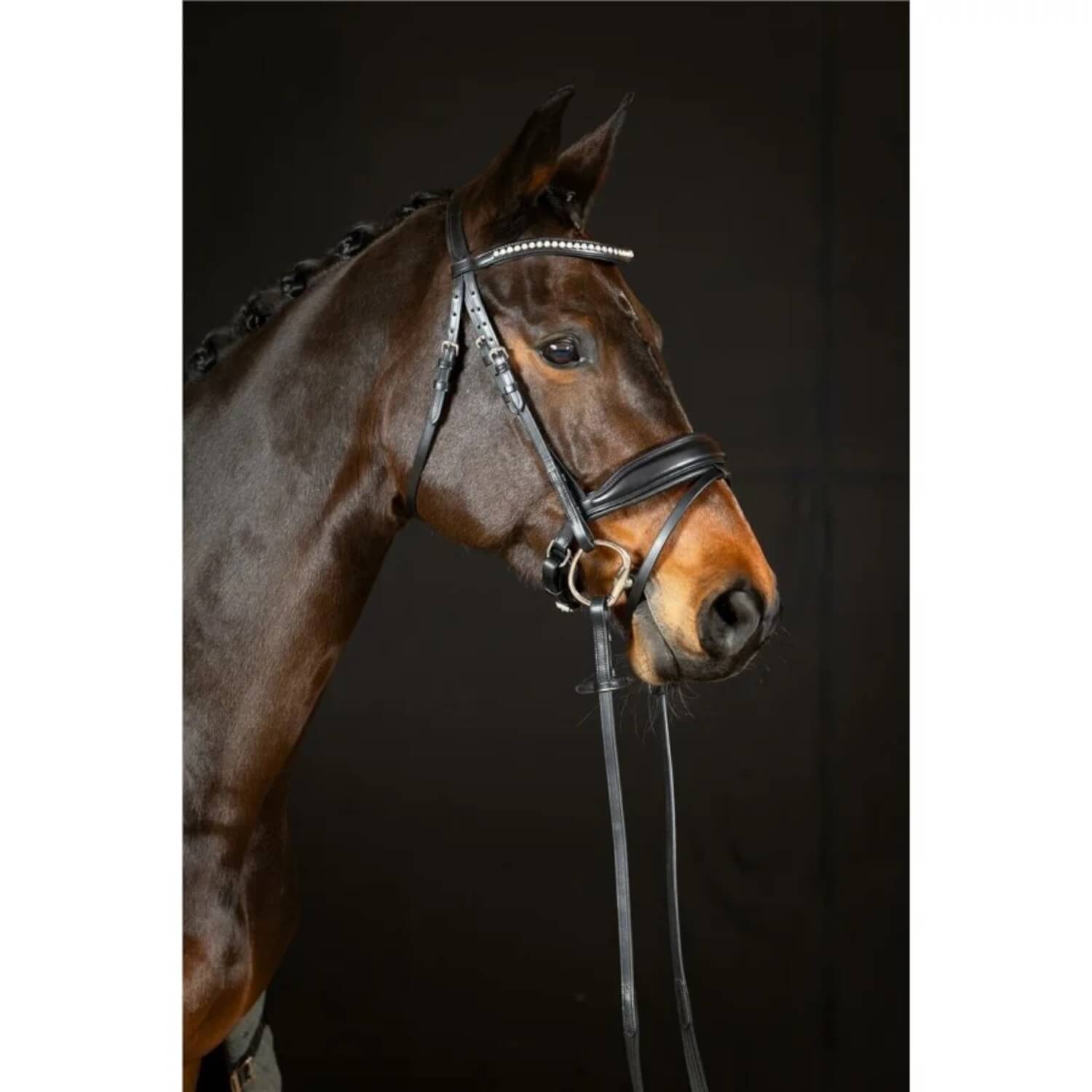 Hans Melzer Trense Wiesbaden Comfort Schwarz Unterlegt schwedisches Reithalfter