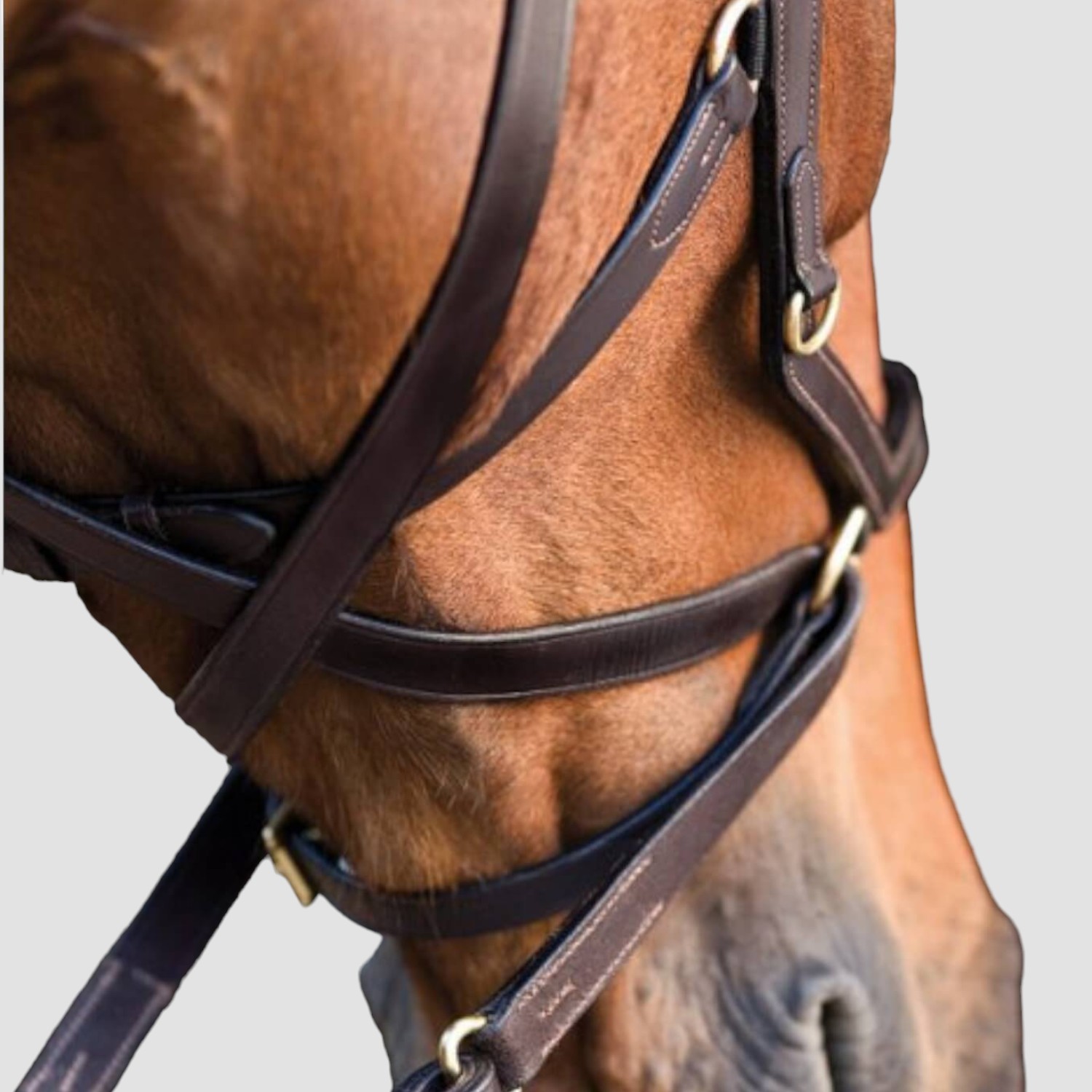 Horseware Rambo Micklem Multi Bridle Black