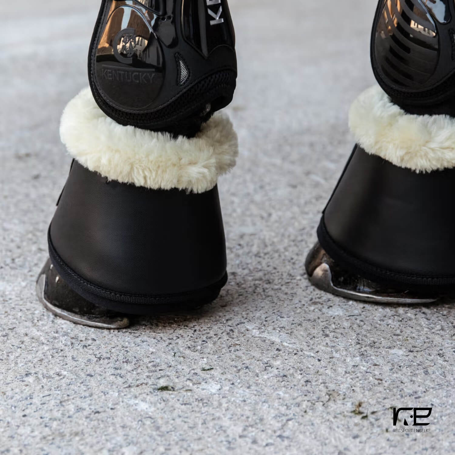 Kentucky Sprungglocken Leder Lammfell