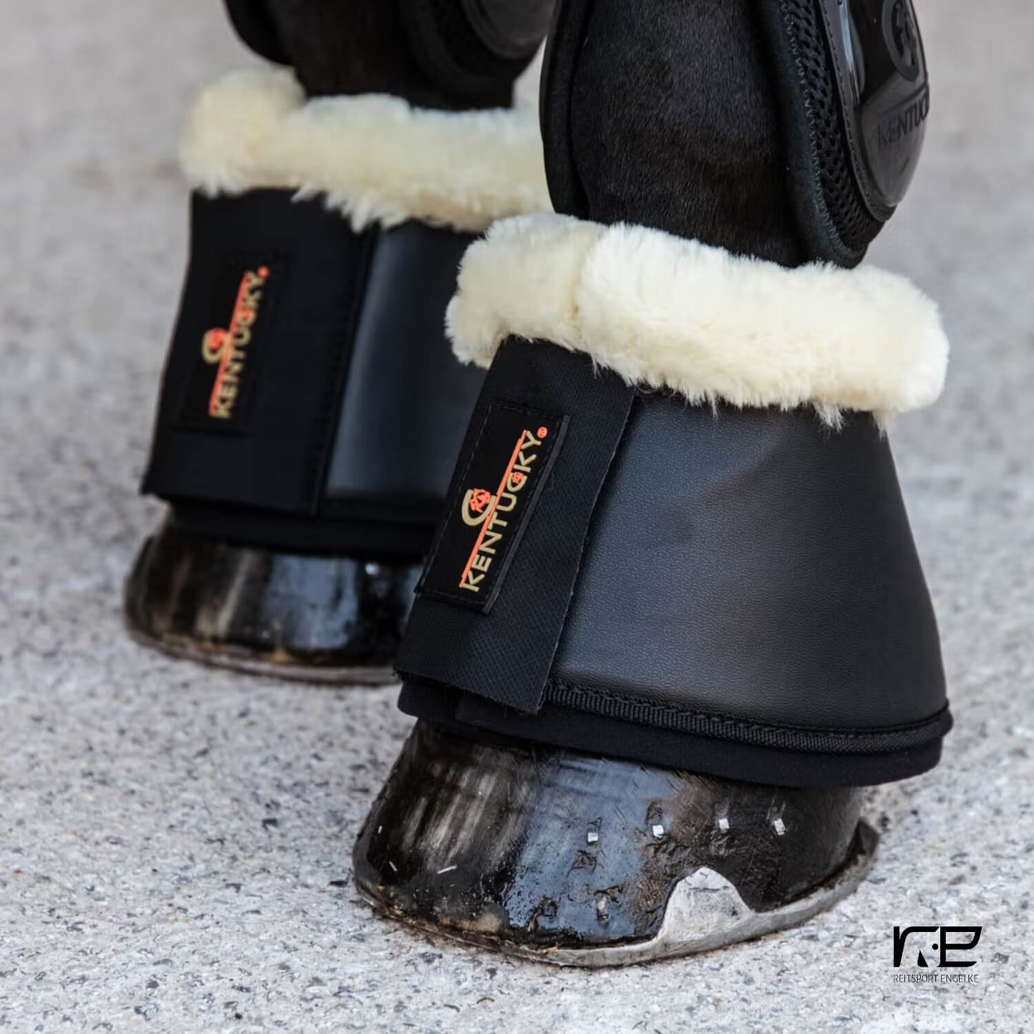 Kentucky Sprungglocken Leder Lammfell