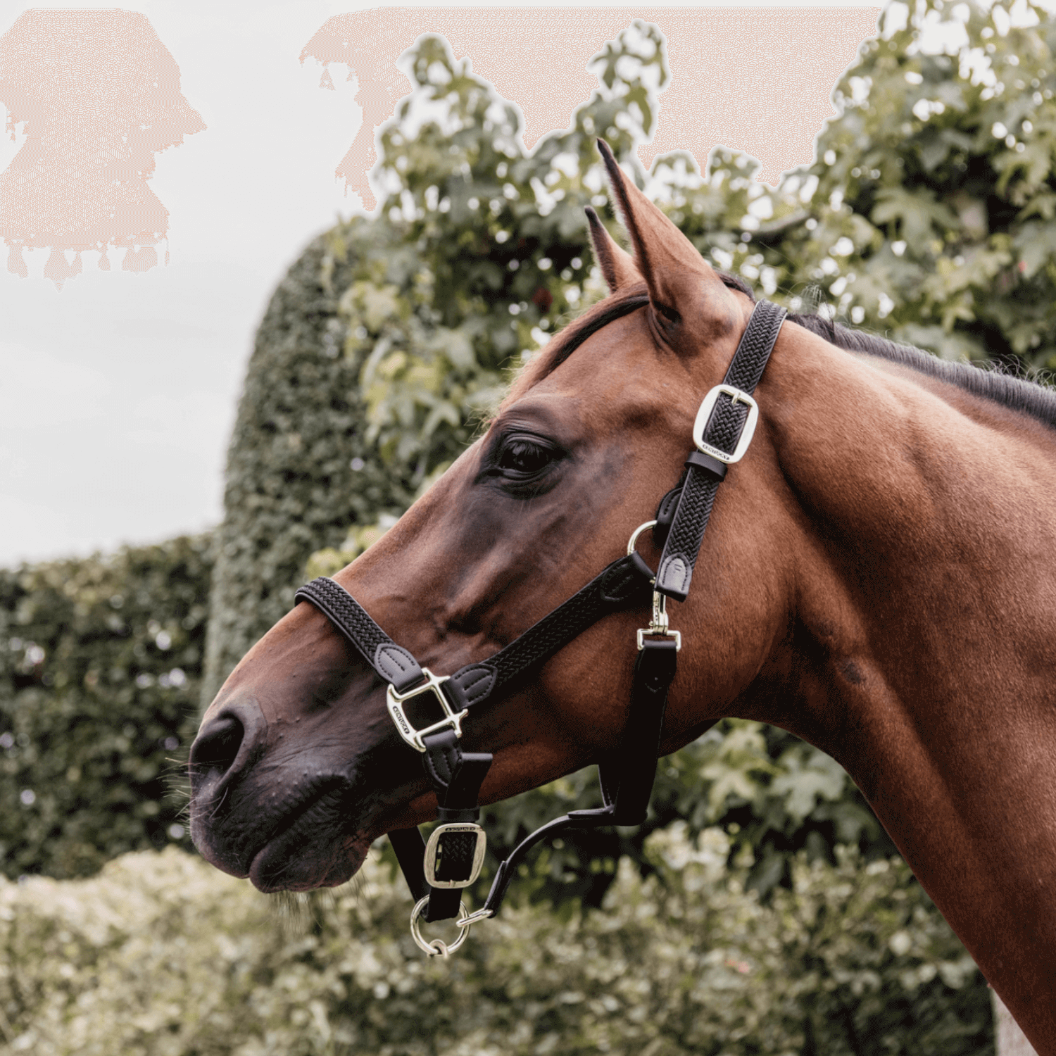 Kentucky Horsewear geflochtenes Nylonhalfter