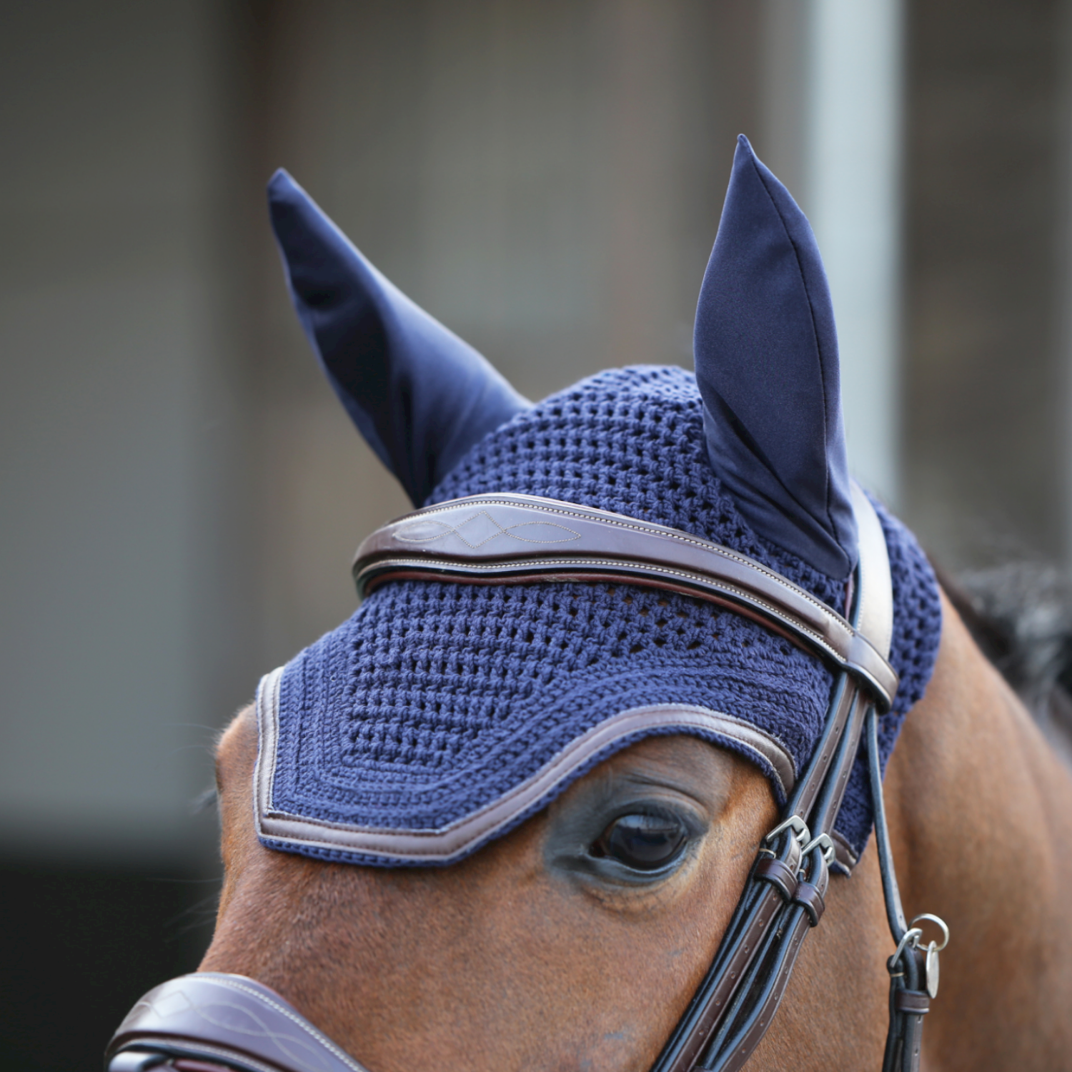 Kentucky Fliegenmütze Wellington Leder Kentucky Fliegenmütze Wellington Leder