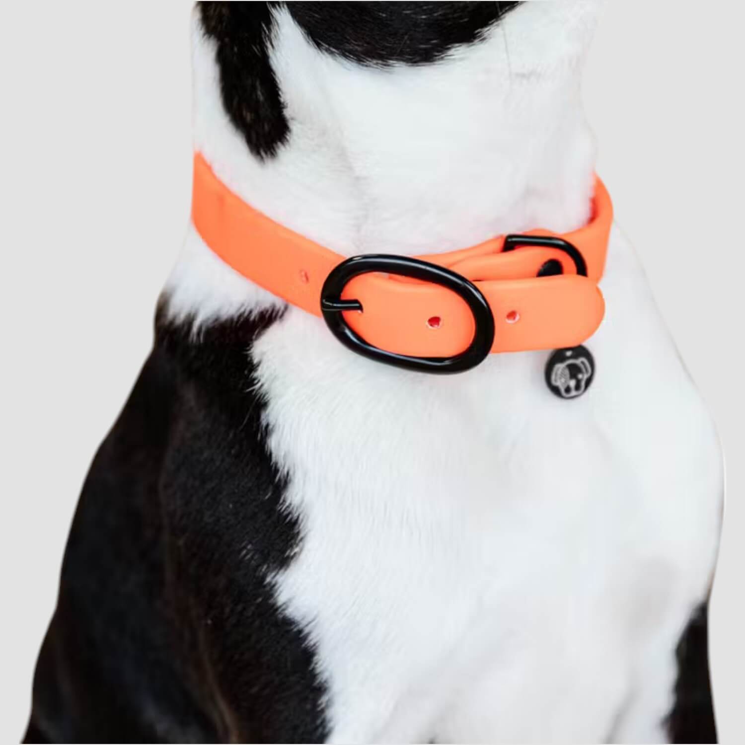 Kentucky Hundehalsband Soft Rubber Neon Orange