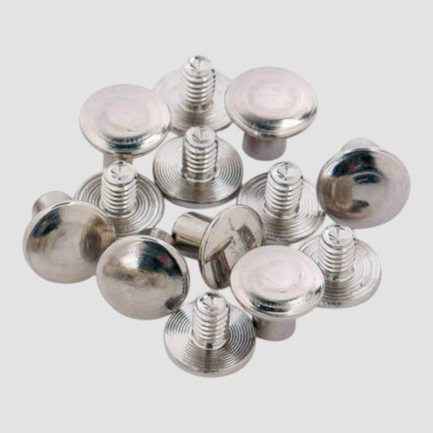 Busse Chicagoschrauben für Kappzaum Fit Pro