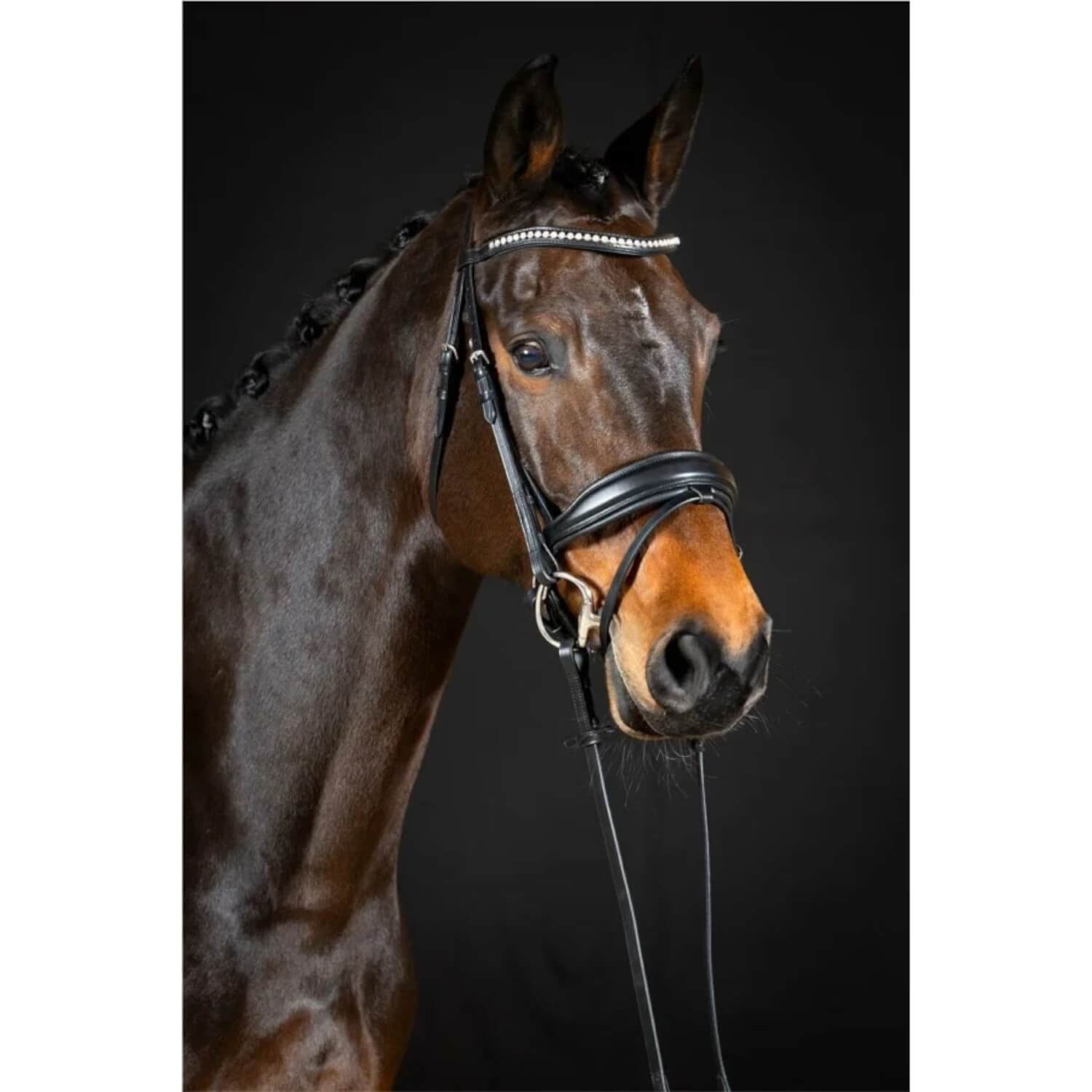 Hans Melzer Trense Wiesbaden Comfort Schwarz Unterlegt schwedisches Reithalfter