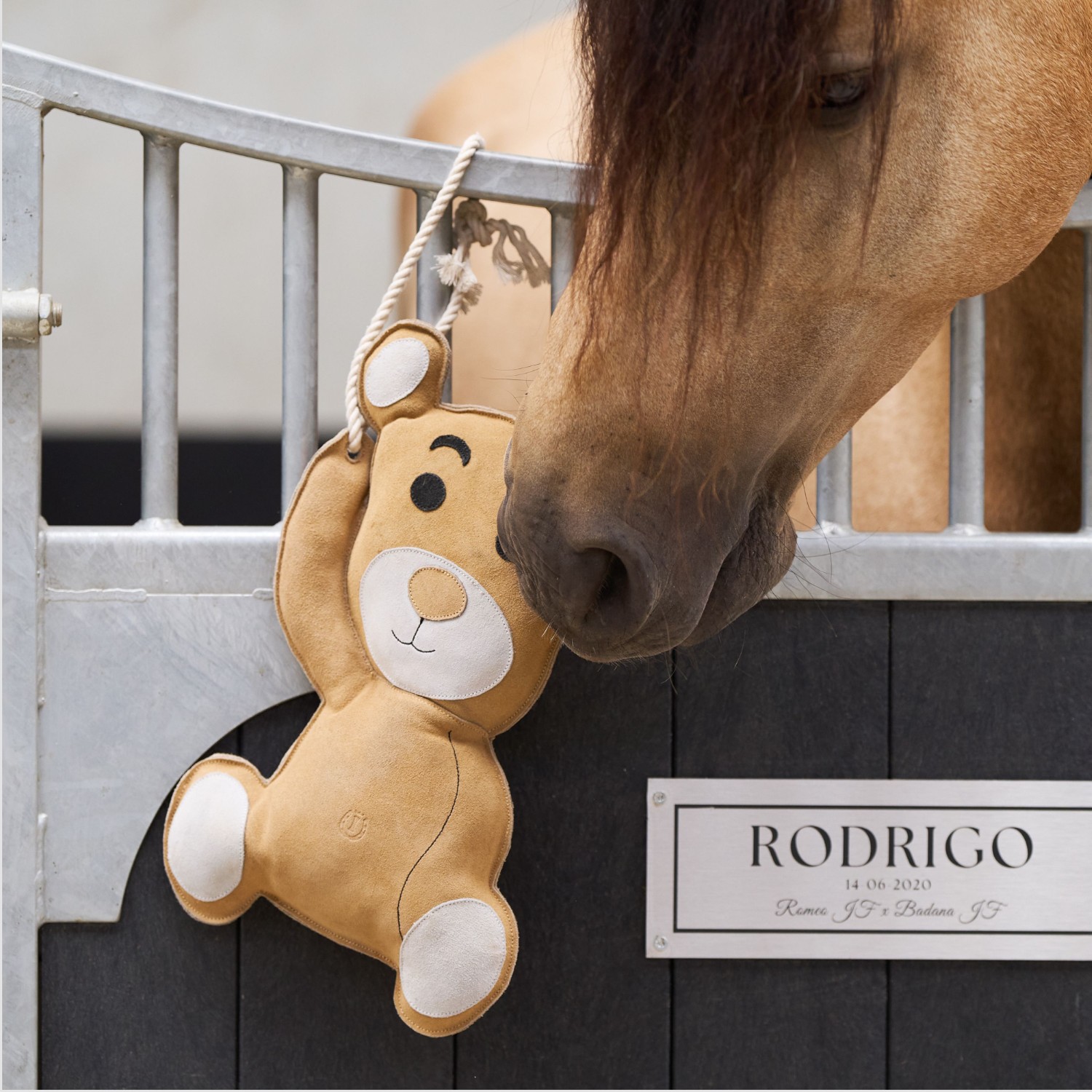 Imperial Riding Stable Buddy IRHTeddy Natural