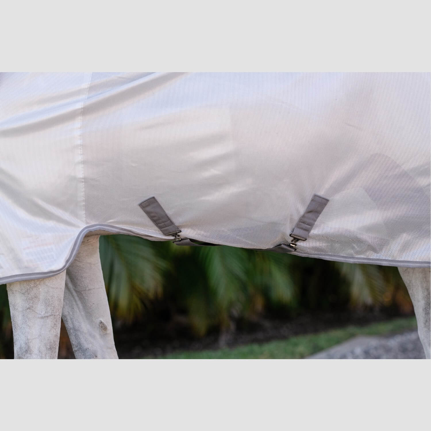 Horseware Amigo Integrated Fly Sheet Silver/Titanium/Grey Horseware Amigo Integrated Fly Sheet Silver/Titanium/Grey
