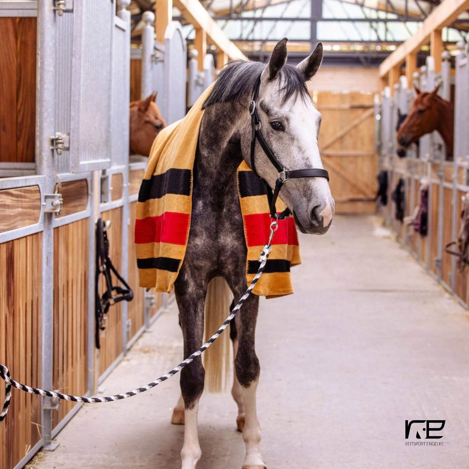 Equest Dralon Abschwitzdecke Pureline Deutschland -One Size-