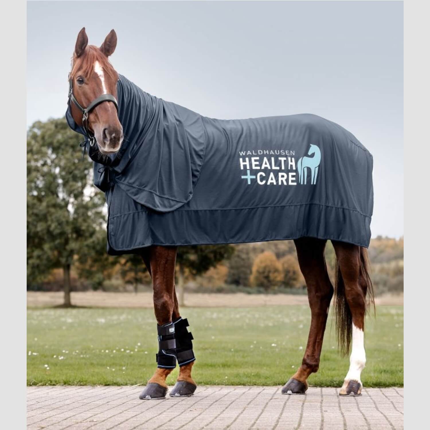 Waldhausen Health & Care Ice Layer Halsteil Nachtblau