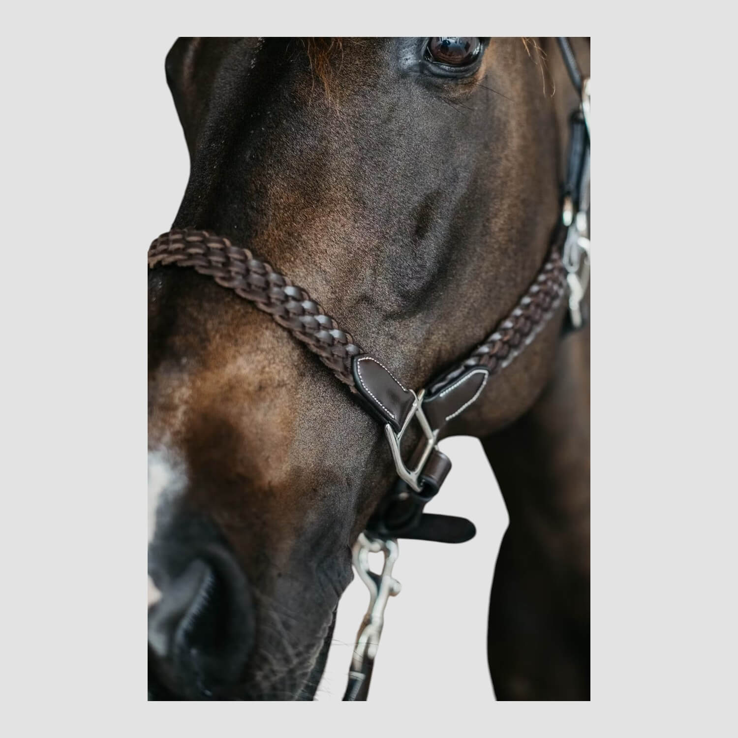 Dyon Plaited Halfter Brown