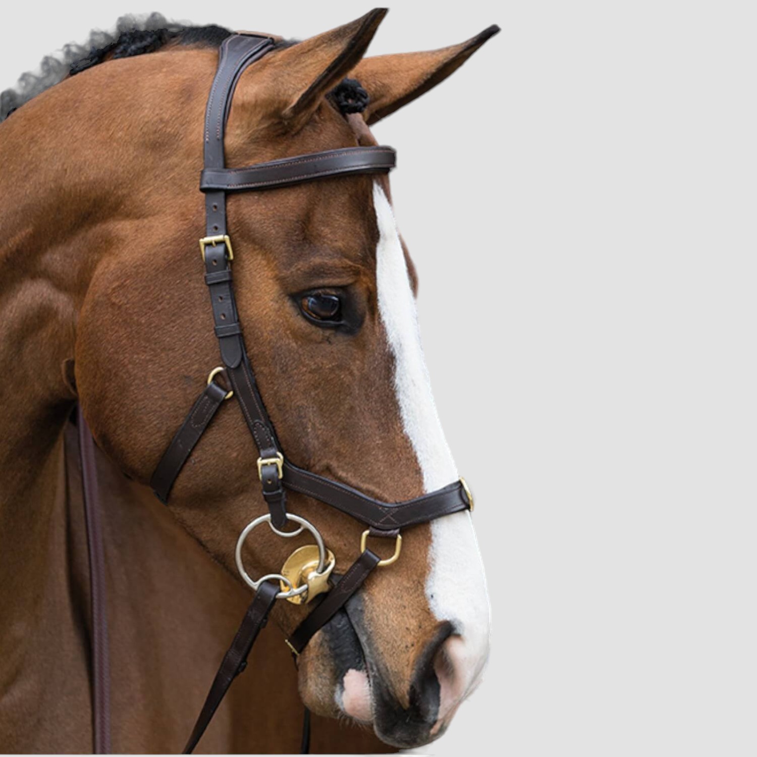 Horseware Rambo Micklem Multi Bridle Black