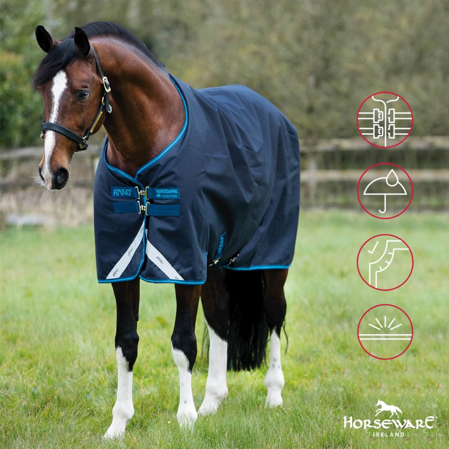 Horseware Regen- Weidedecke Amigo Bravo 12 T/O Lite