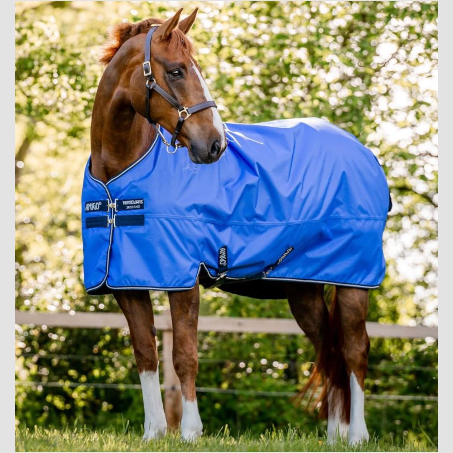 Horseware Amigo Hero Ripstop 50g Blue/Navy/Grey