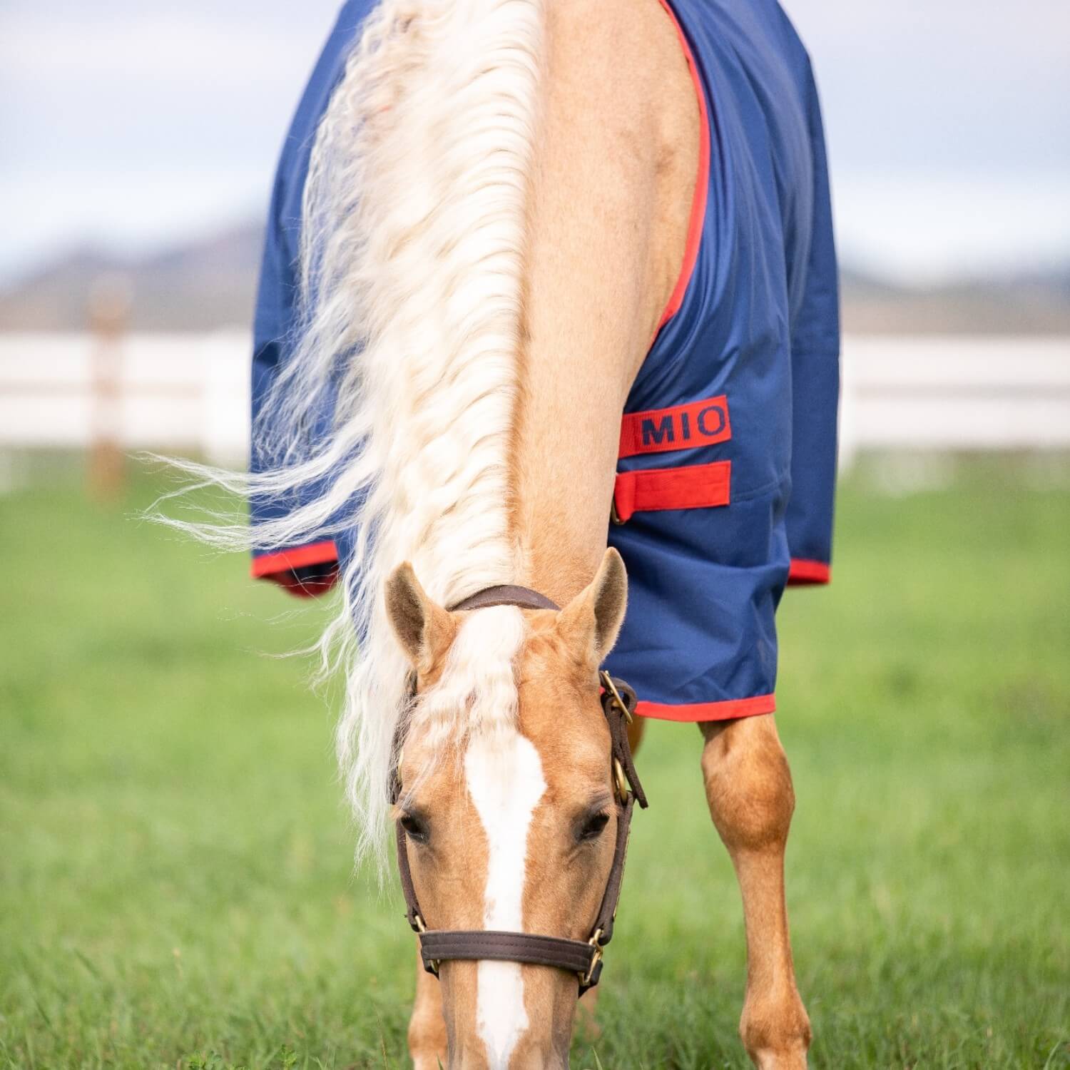Horseware Mio Turnout Lite 0g