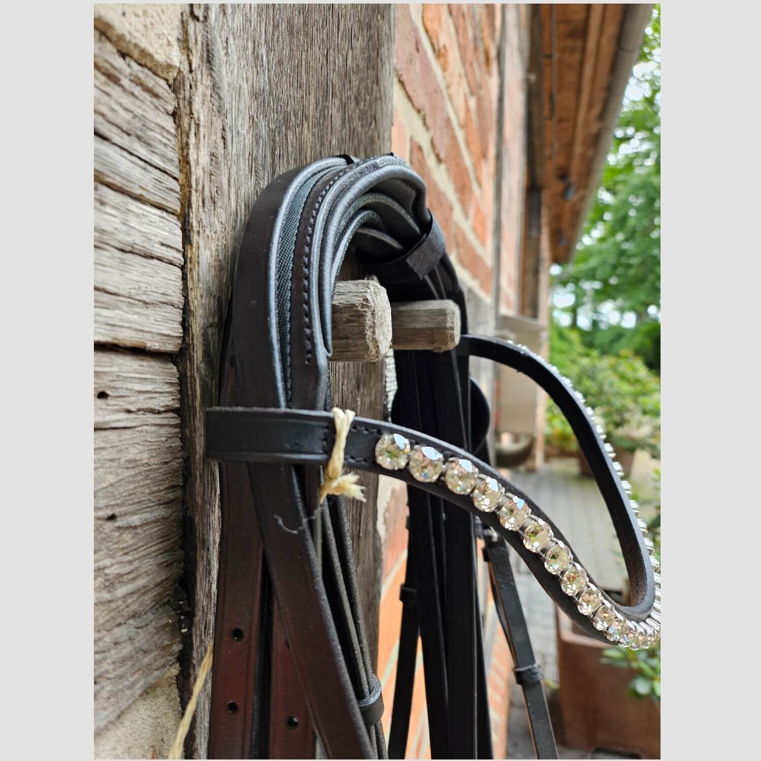 Döbert Kandare Classic Flach Schwarz/Weiß/Edelstahl