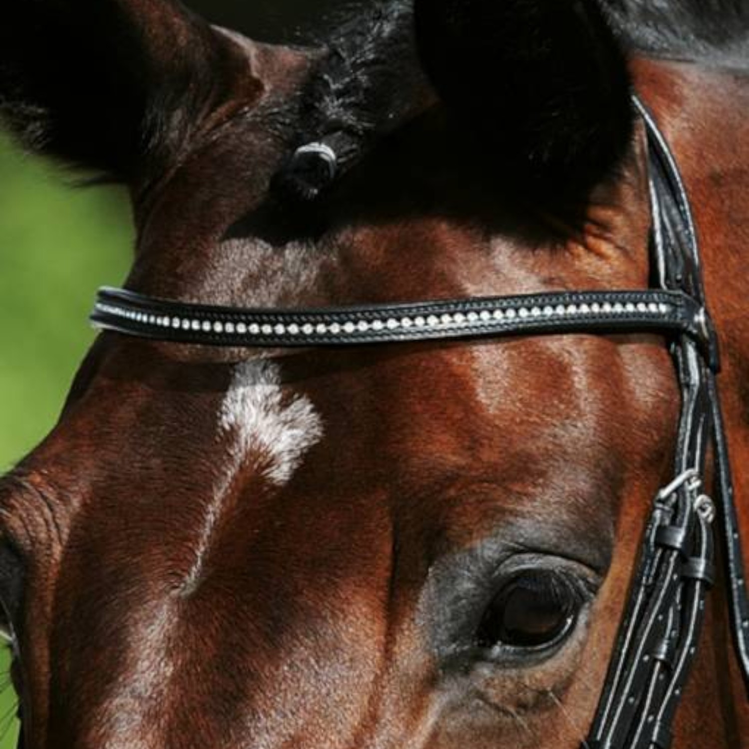 Passier Stirnriemen mit Strasssteinen für Kandare Fortuna Havanna