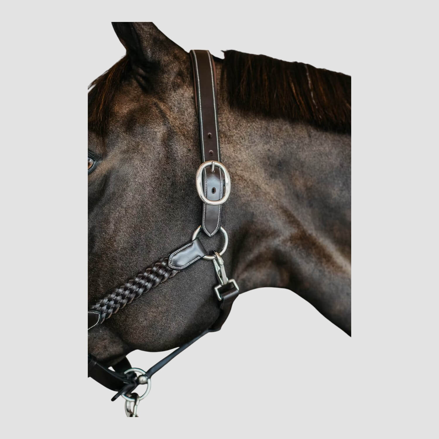 Dyon Plaited Halfter Brown