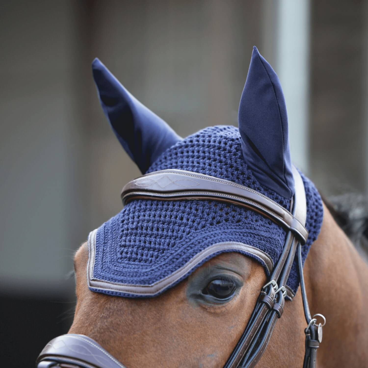 Kentucky Fliegenmütze Wellington Leder